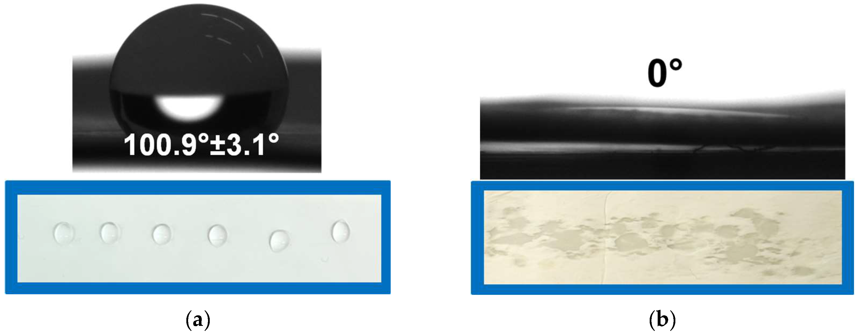 Polymers 17 00692 g004