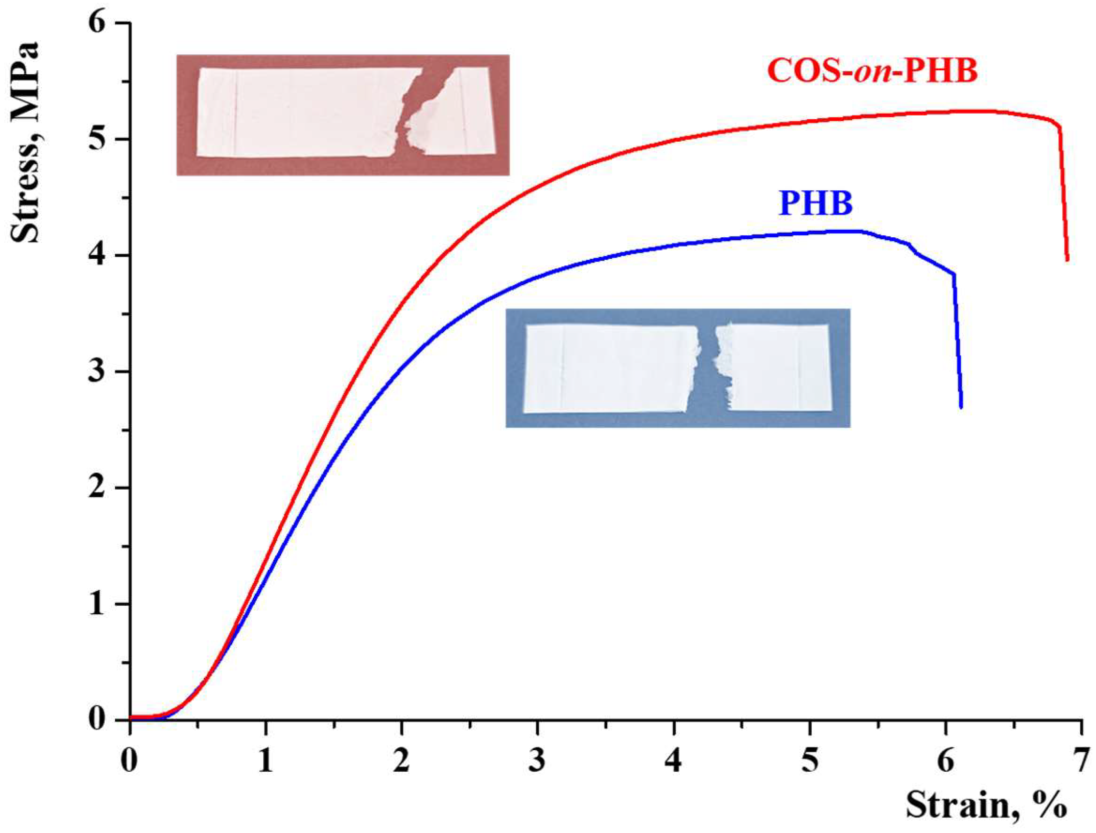 Polymers 17 00692 g005