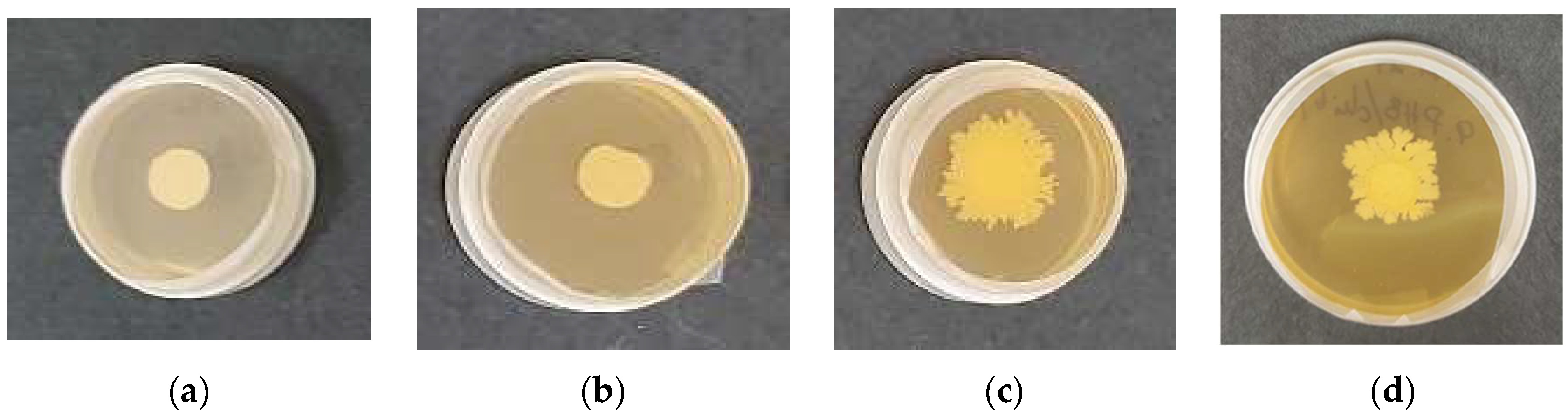 Polymers 17 00692 g008