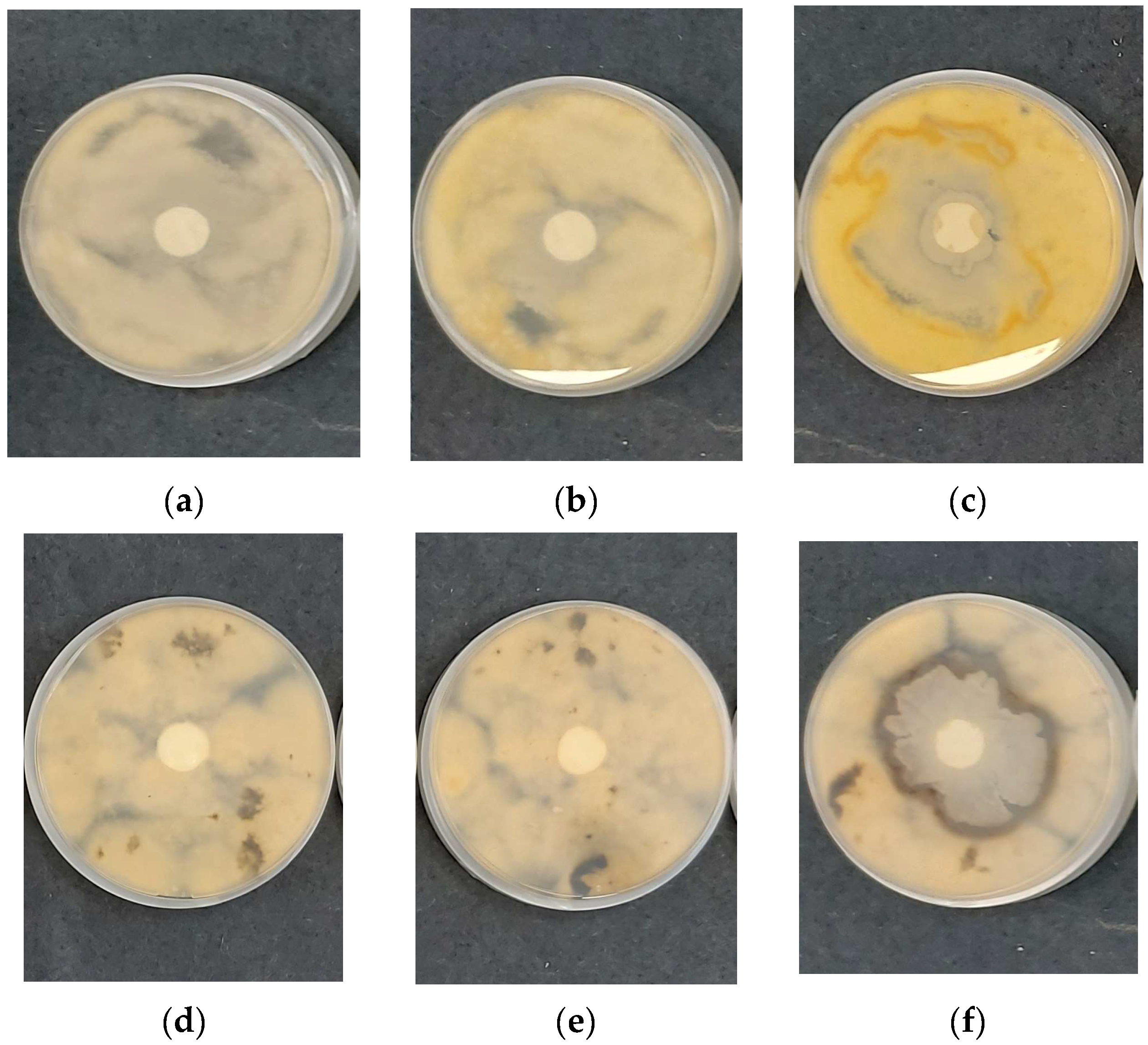 Polymers 17 00692 g009