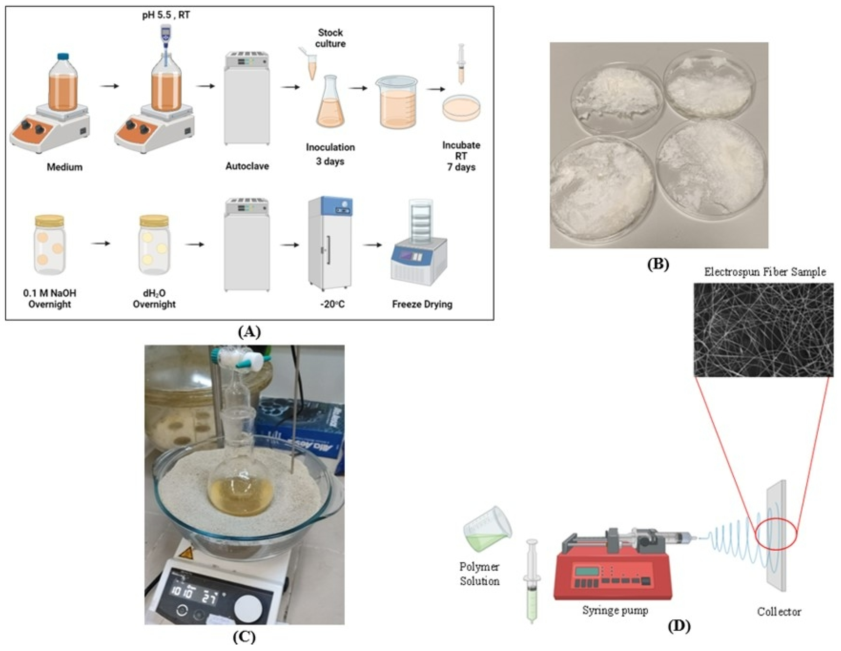 Polymers 17 00693 g001