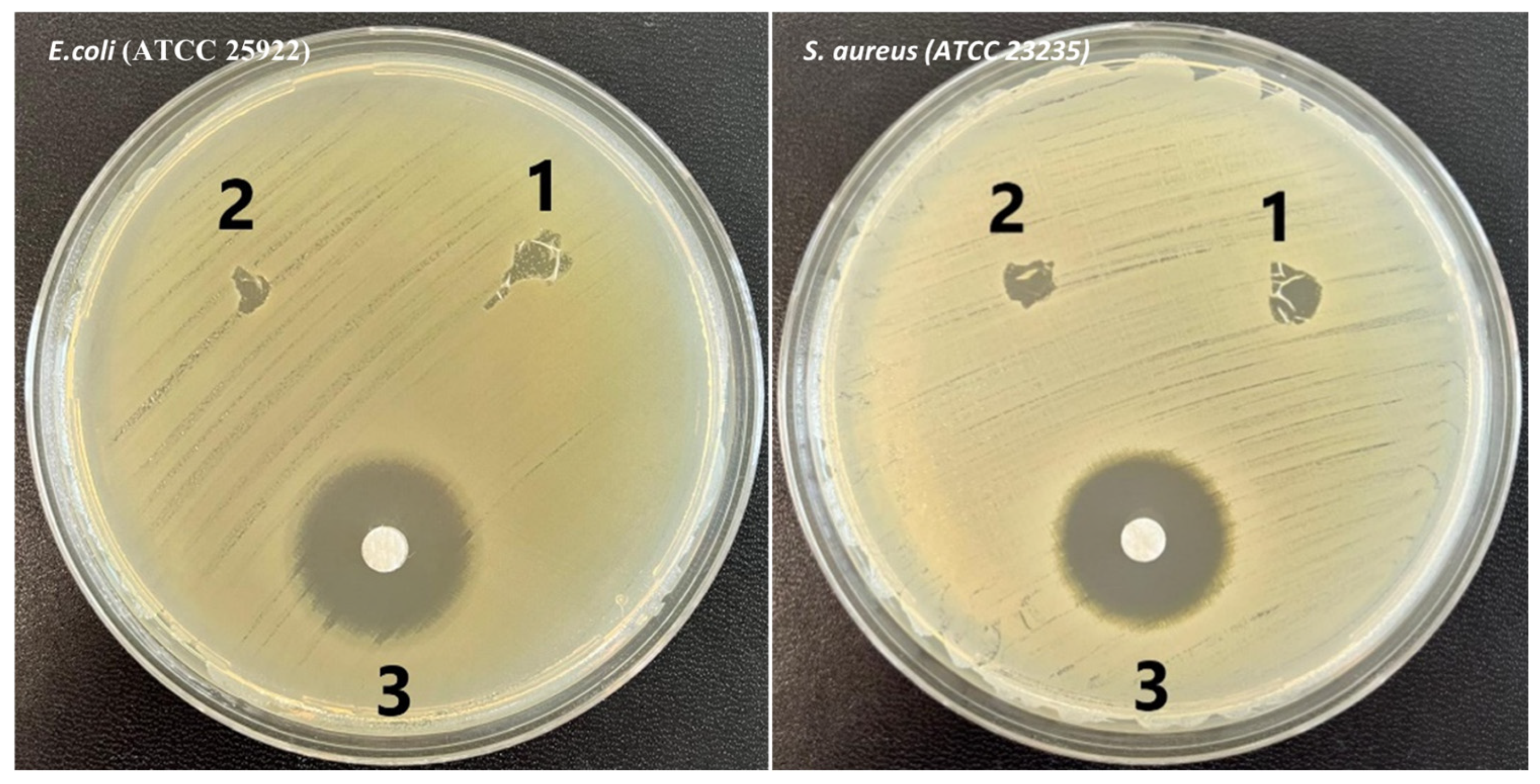 Polymers 17 00693 g008