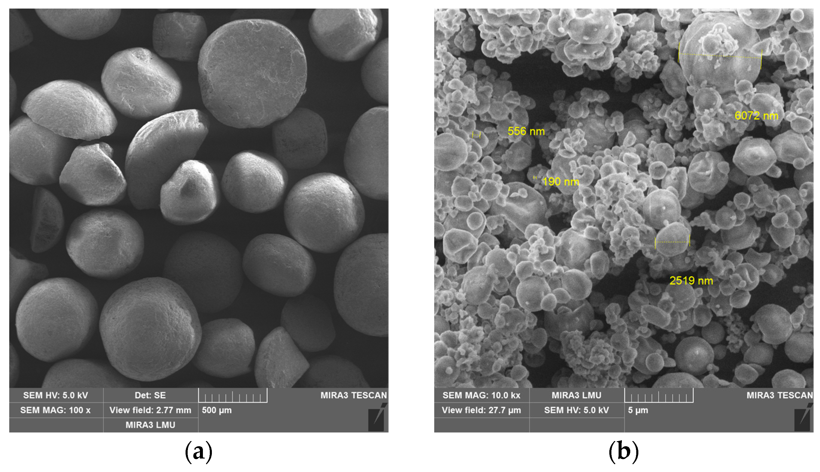Polymers 17 00694 g002a