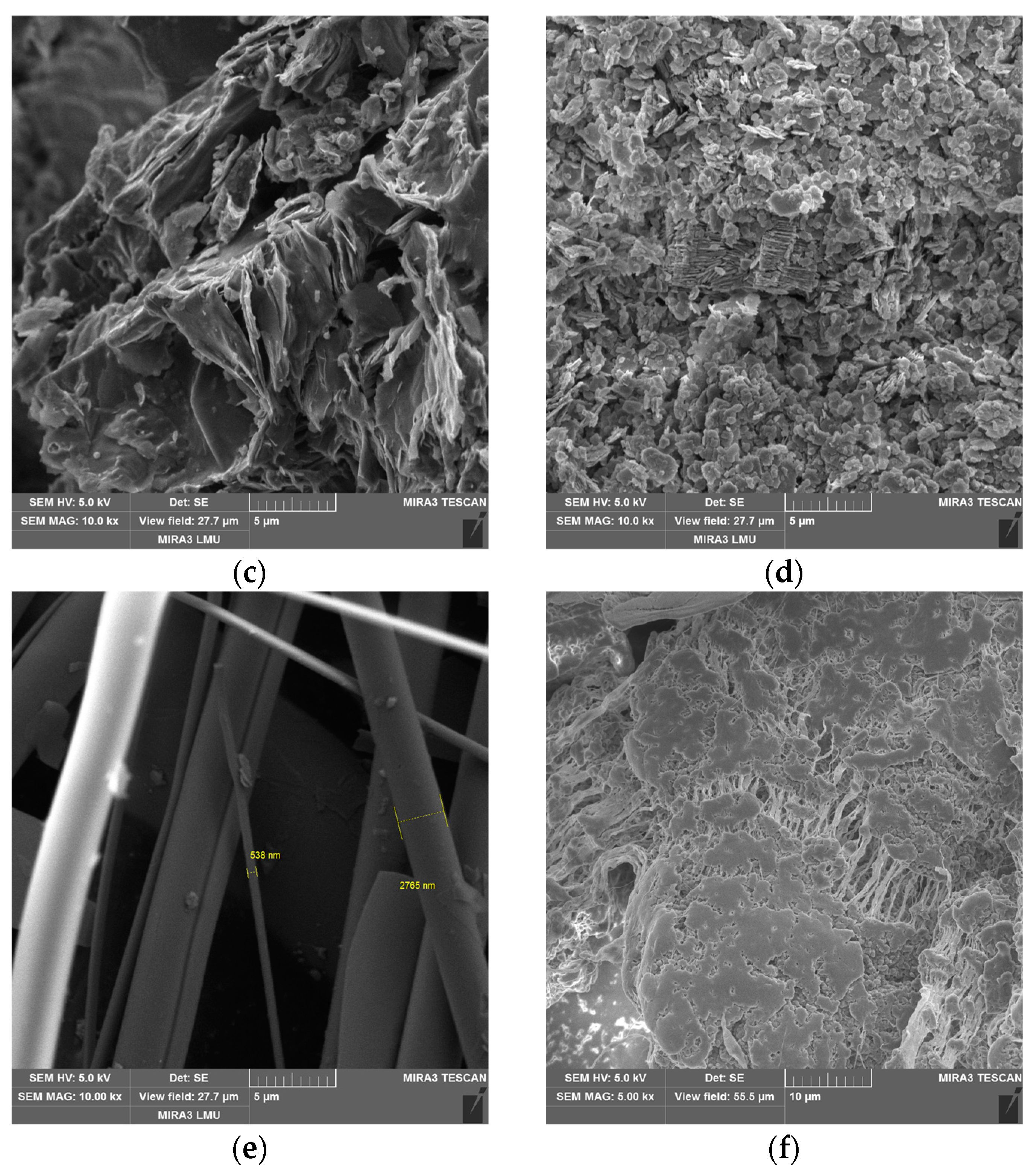 Polymers 17 00694 g002b