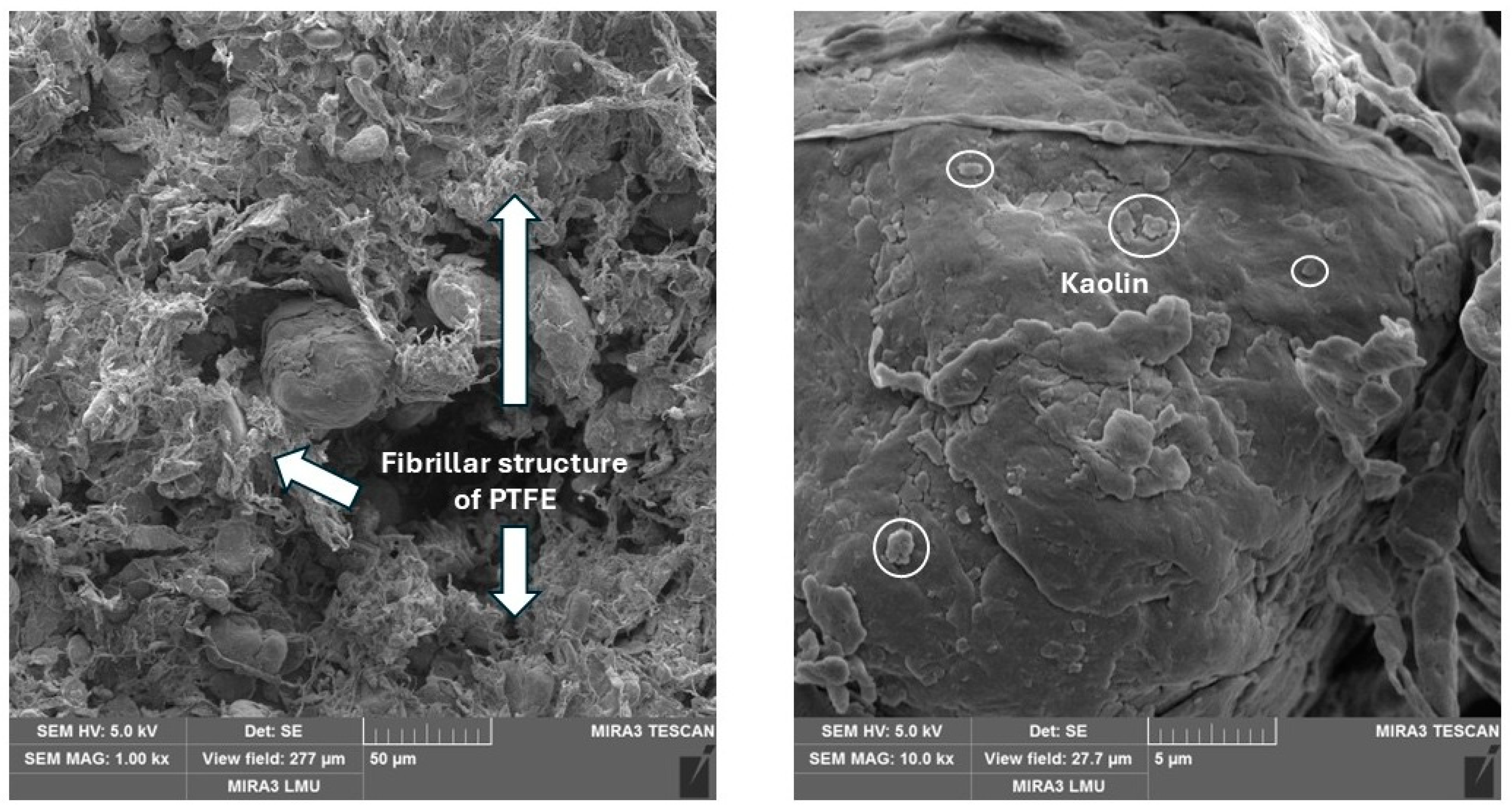 Polymers 17 00694 g006