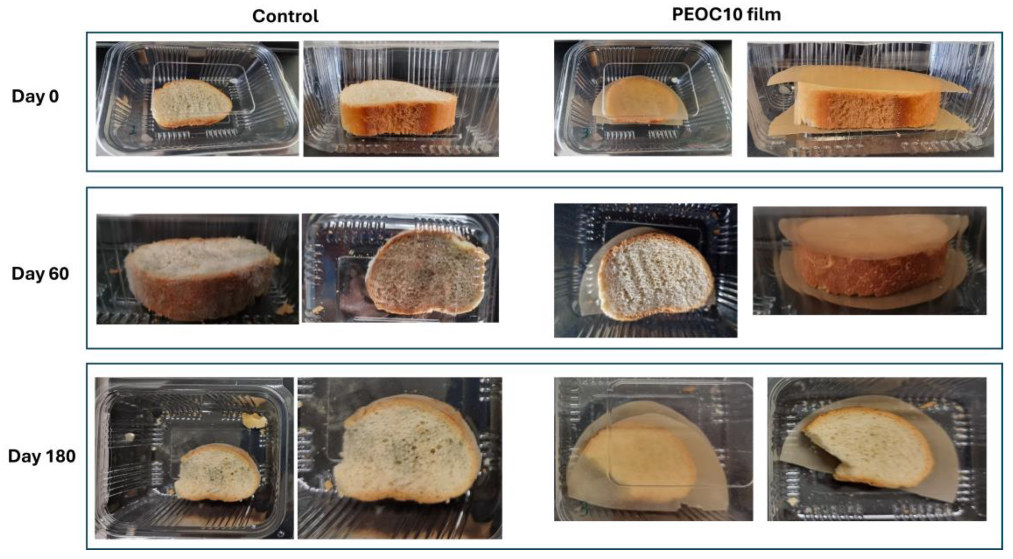 Polymers 17 00697 g002