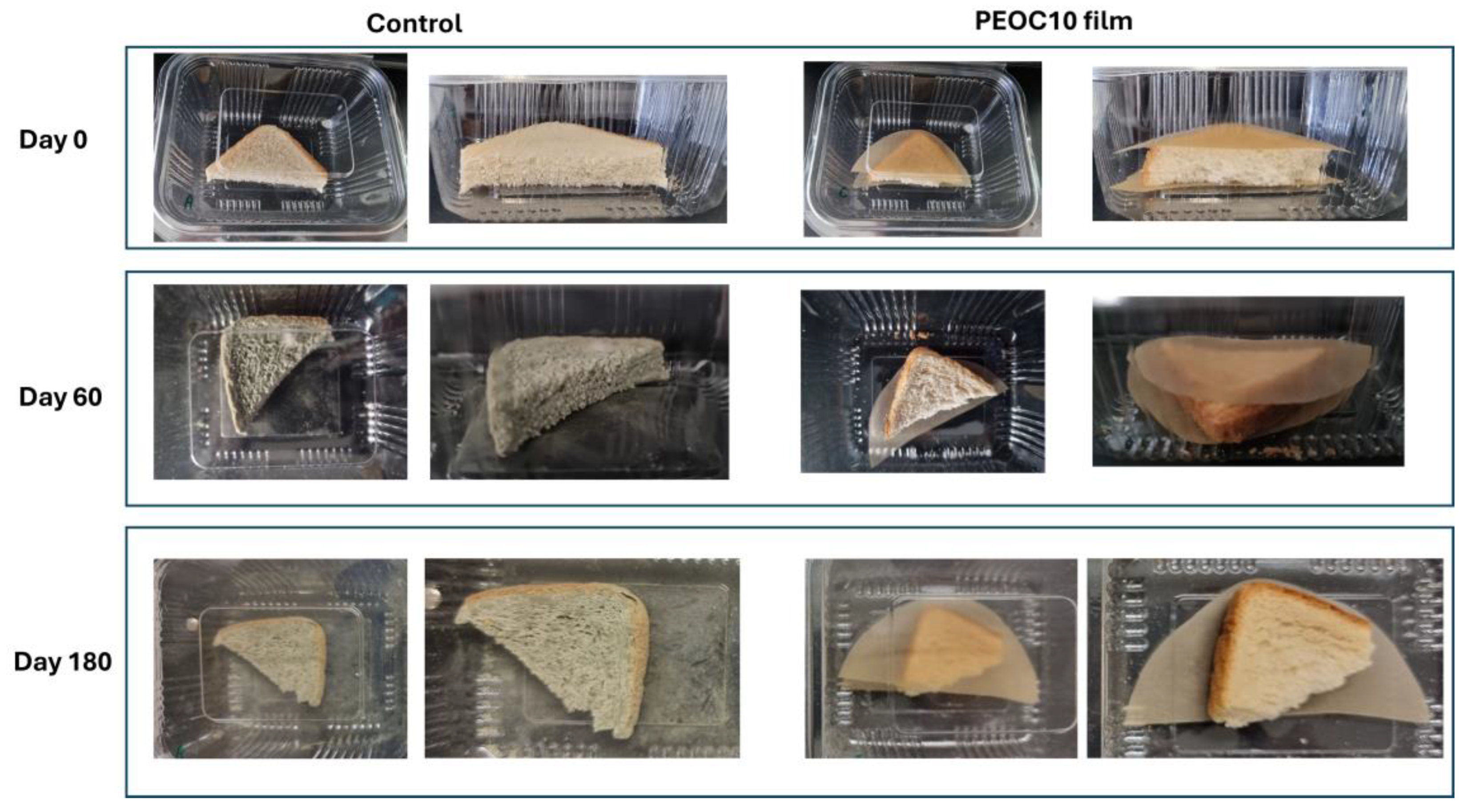 Polymers 17 00697 g003