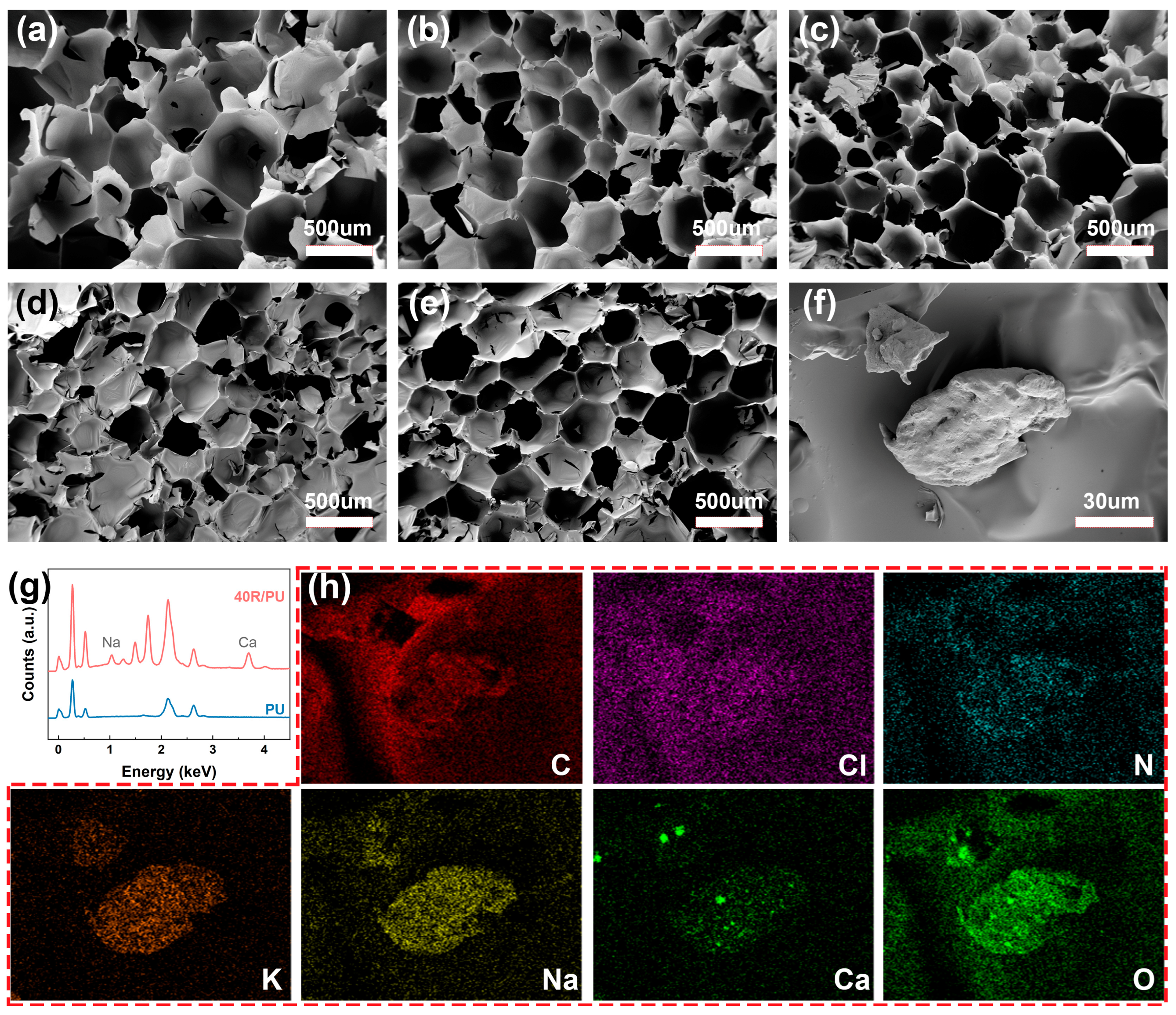 Polymers 17 00705 g003