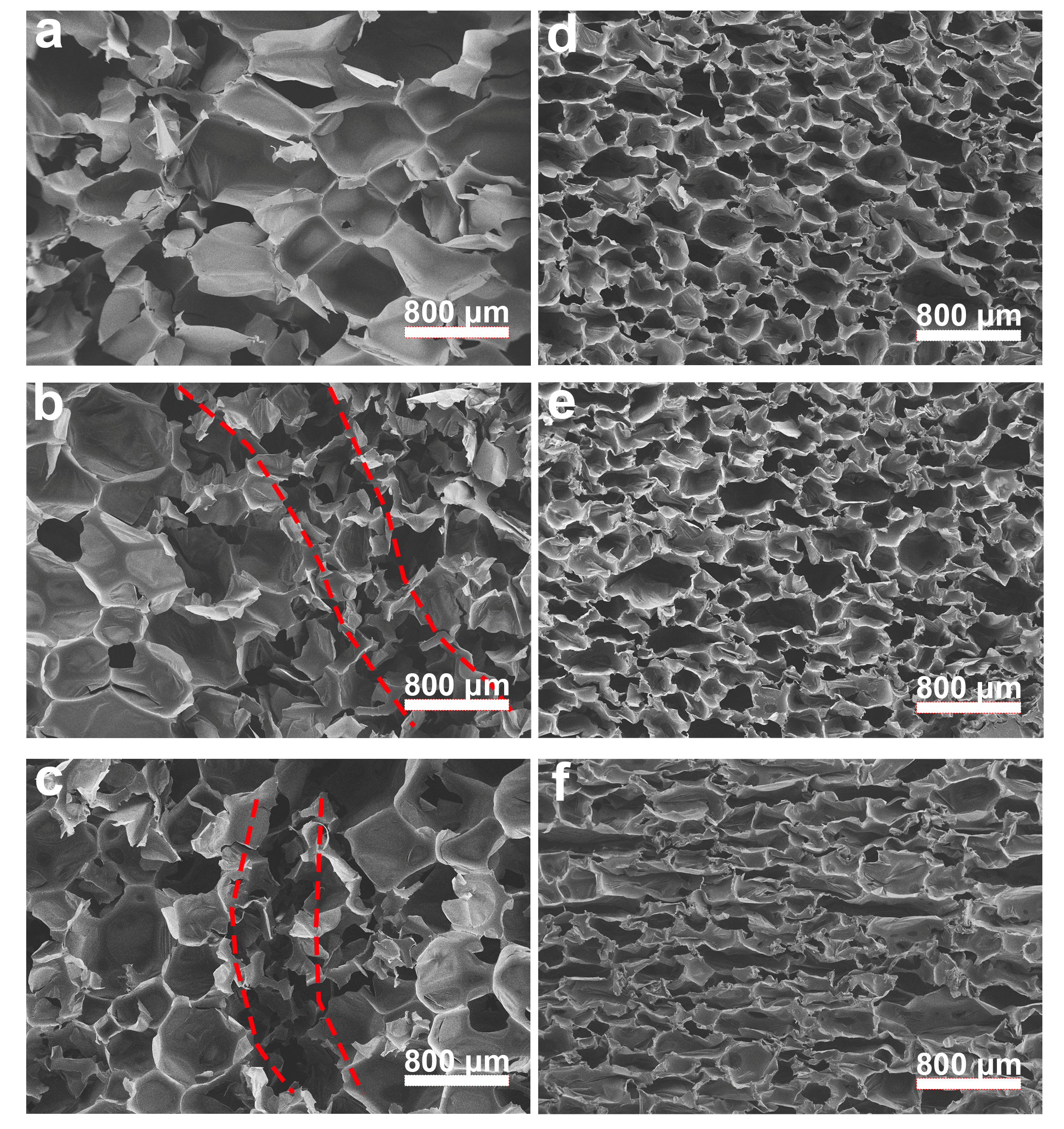 Polymers 17 00705 g010