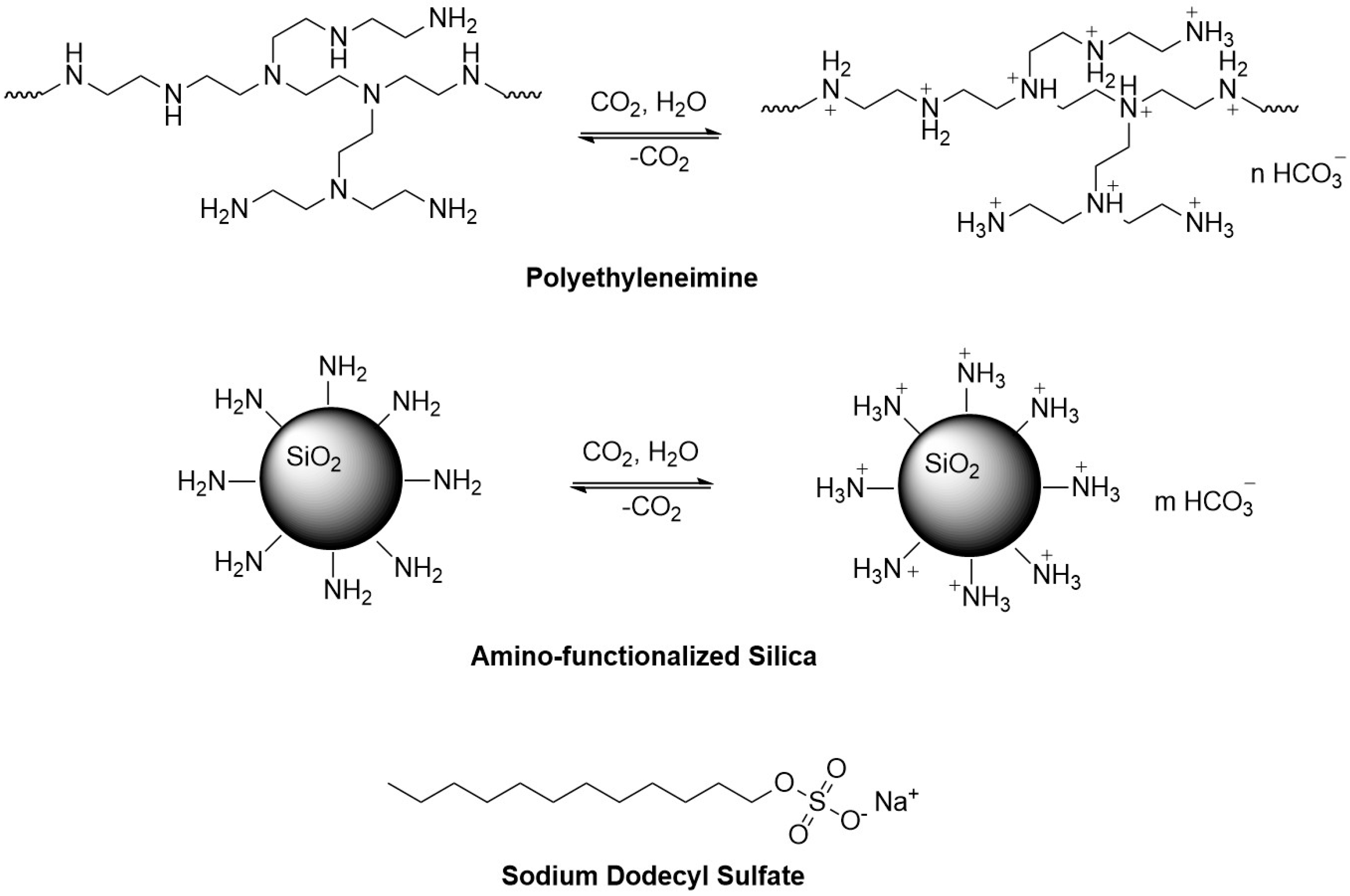 Polymers 17 00706 g001