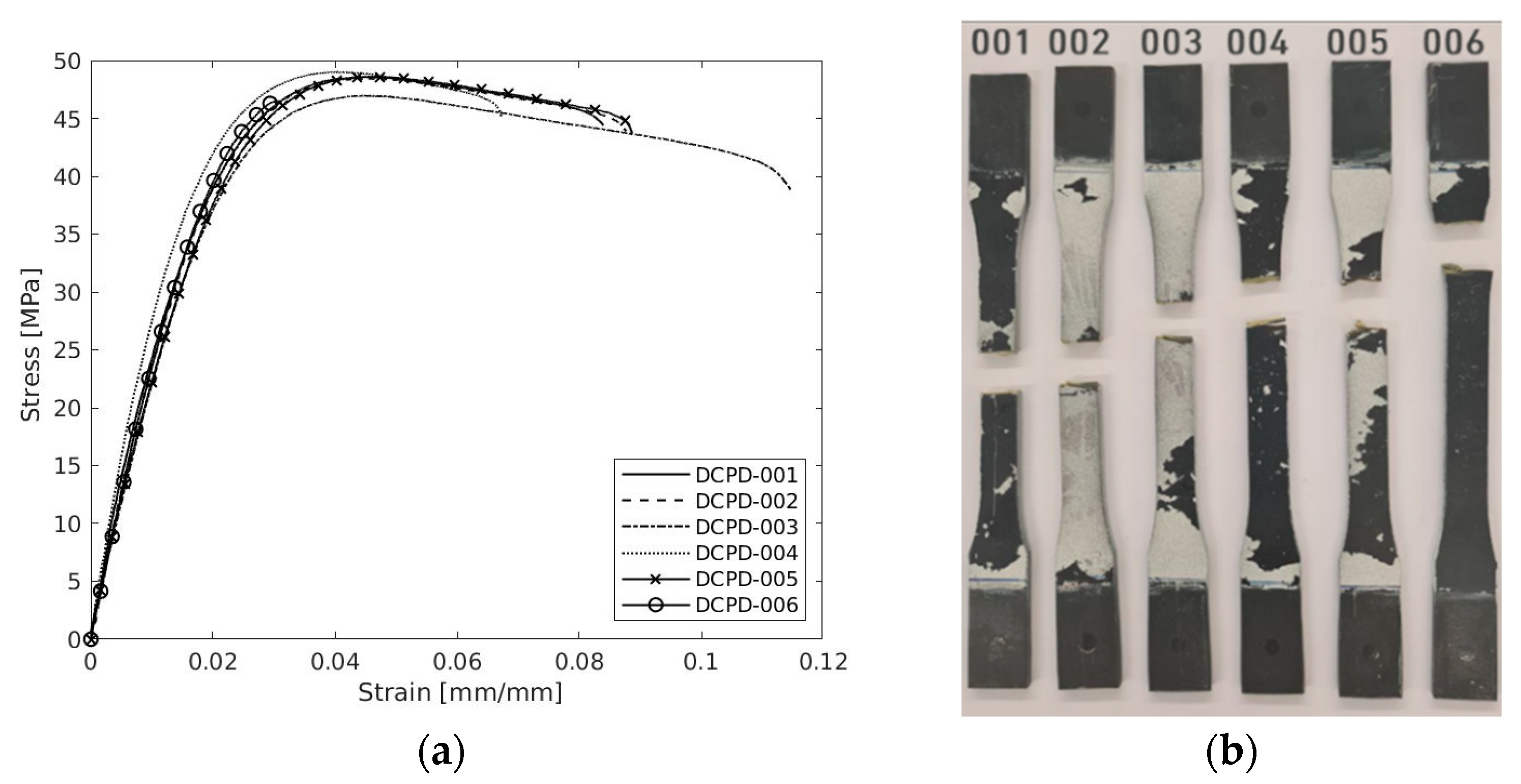 Polymers 17 00715 g006