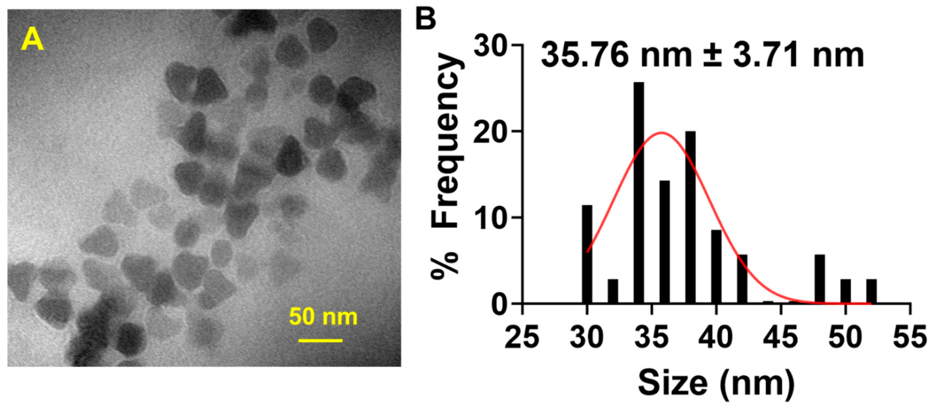 Polymers 17 00716 g001