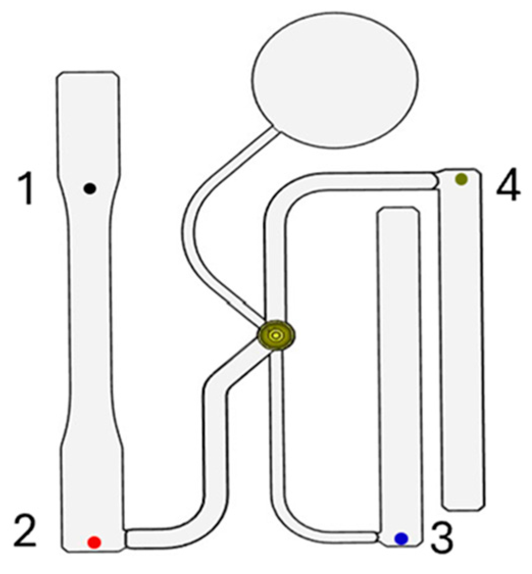 Polymers 17 00718 g002