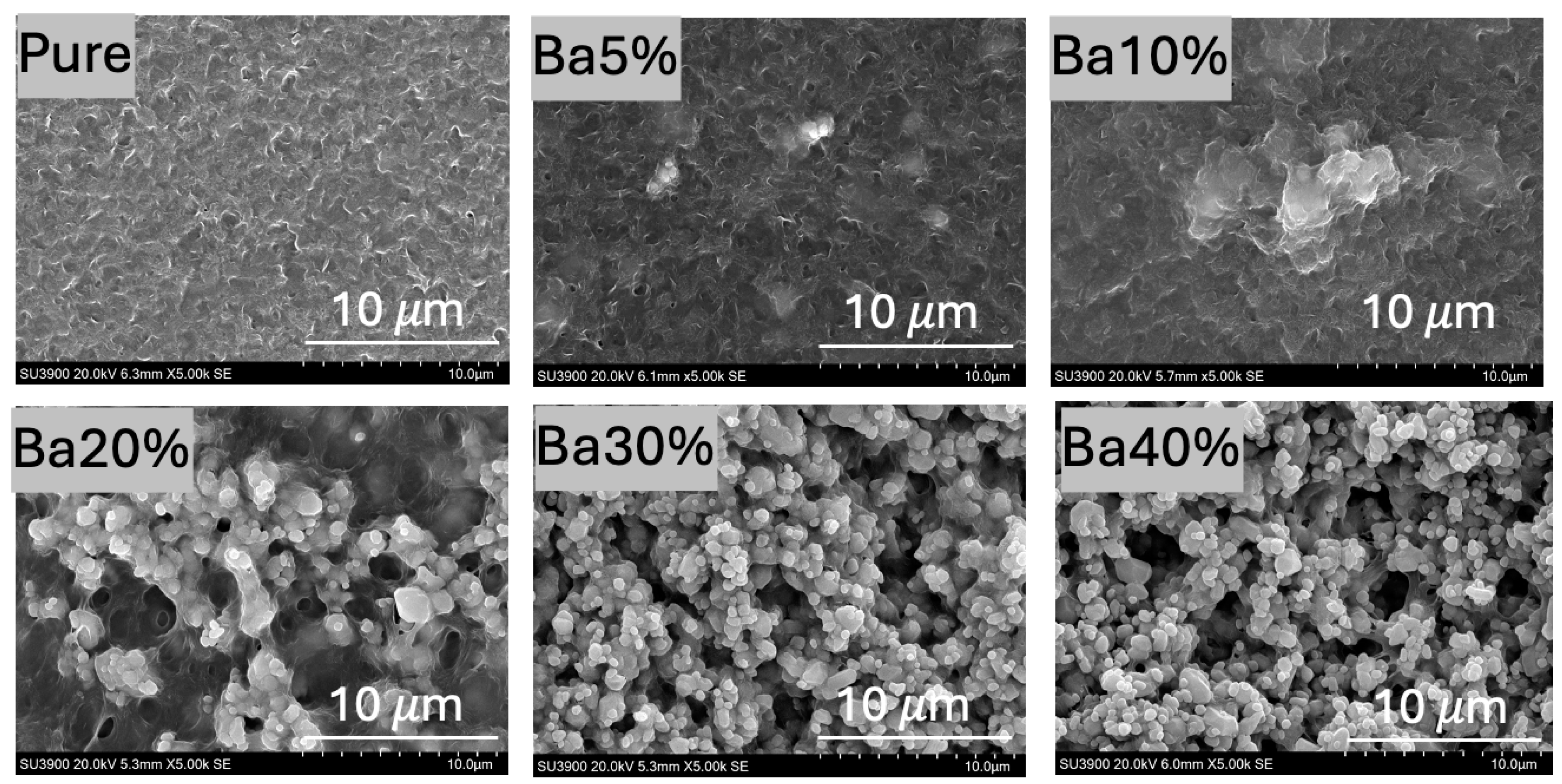 Polymers 17 00723 g002