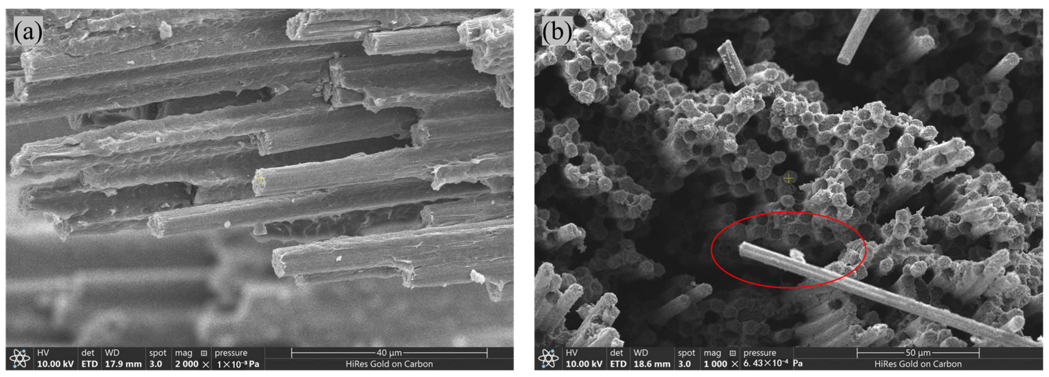 Polymers 17 00724 g007