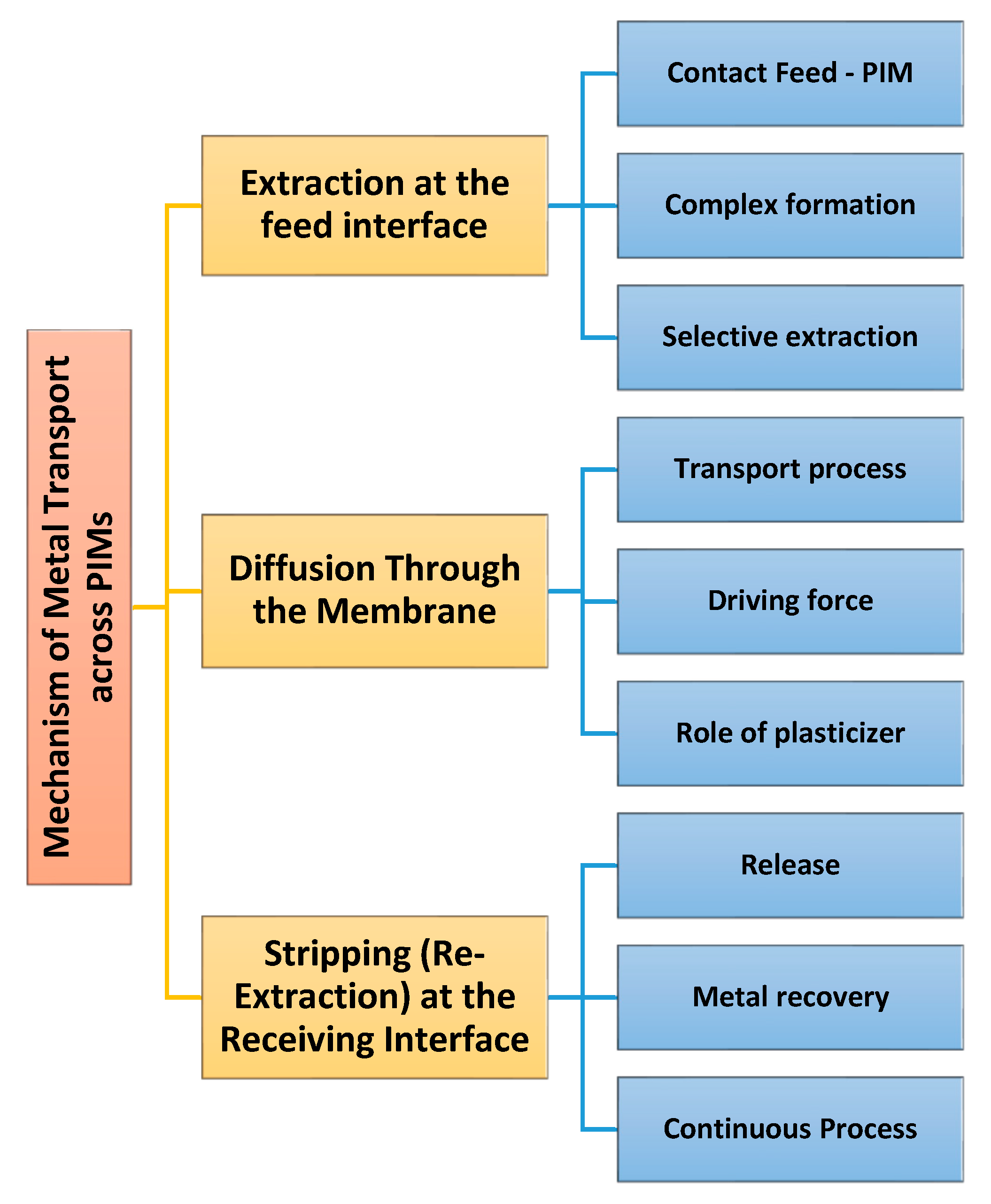 Polymers 17 00725 g001