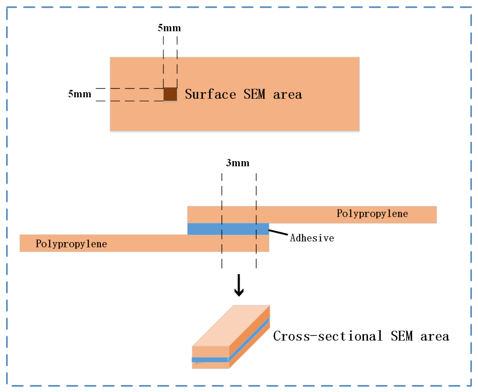 Polymers 17 00726 g007