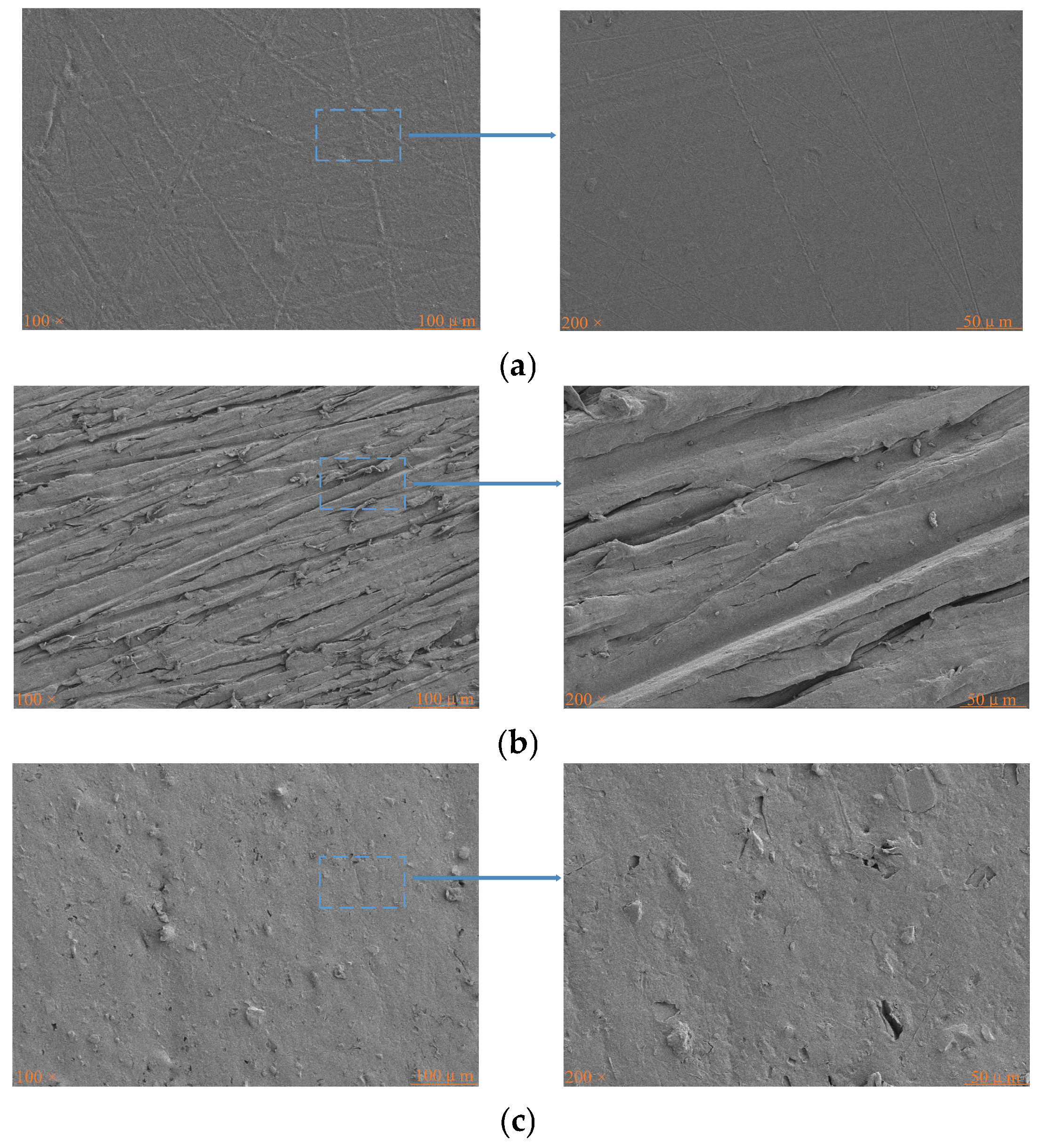 Polymers 17 00726 g014
