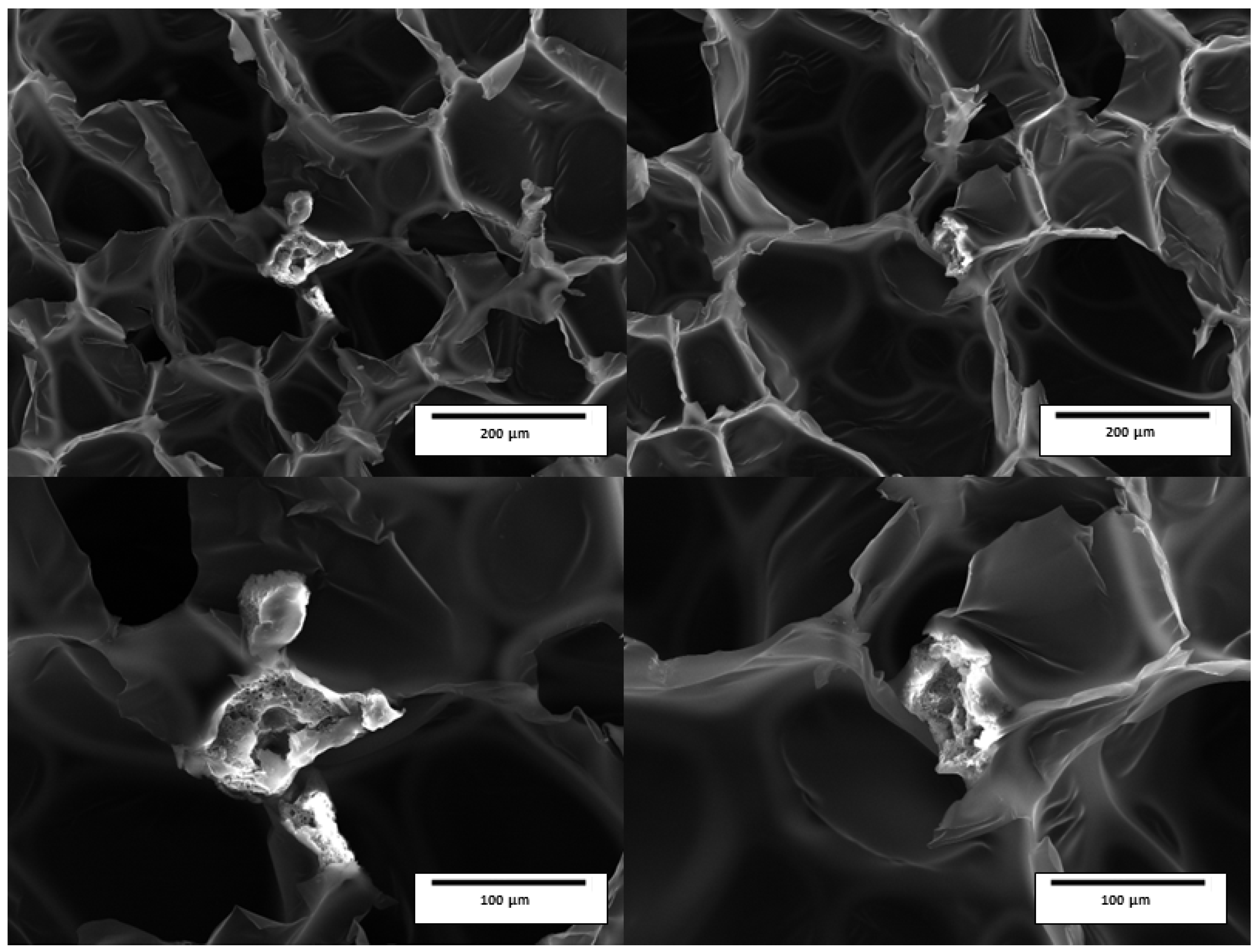 Polymers 17 00729 g004