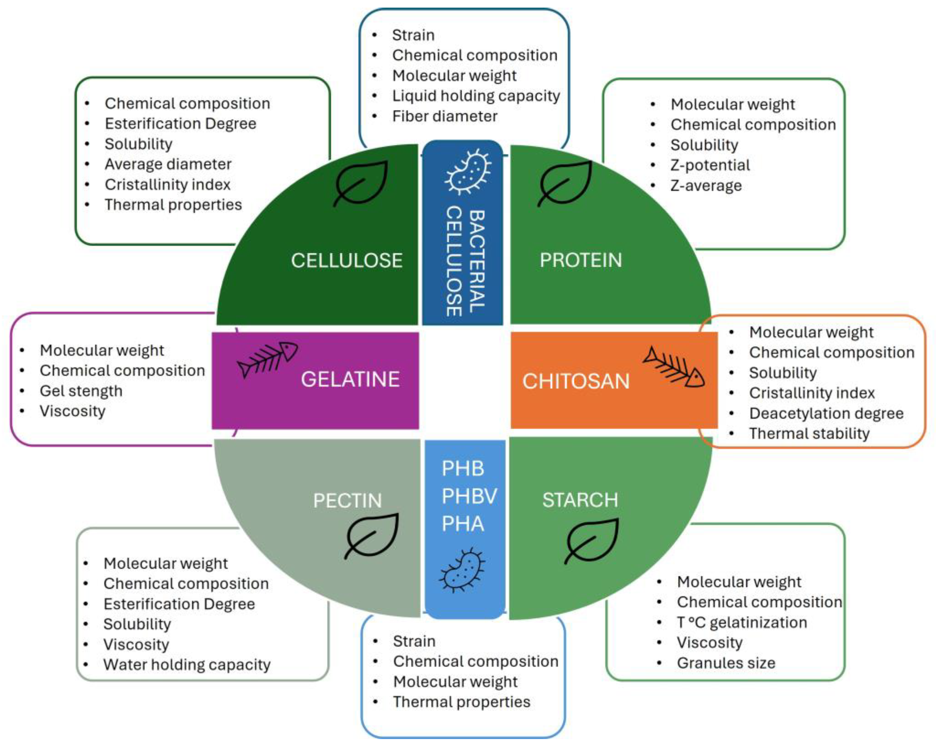 Polymers 17 00735 g004