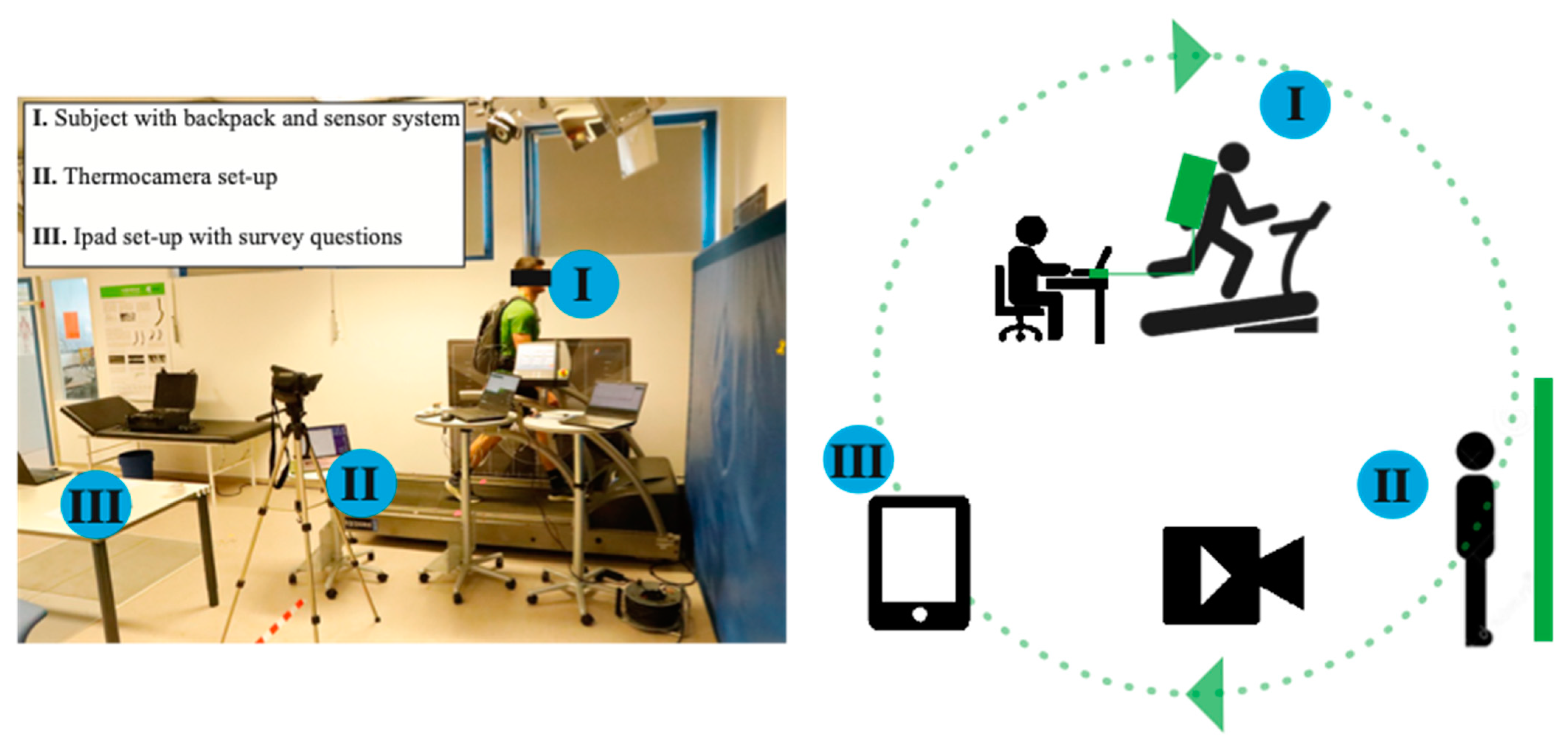 Polymers 17 00738 g0a1