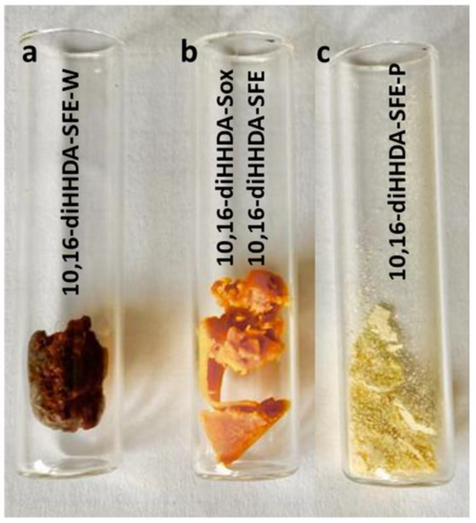 Polymers 17 00742 g002