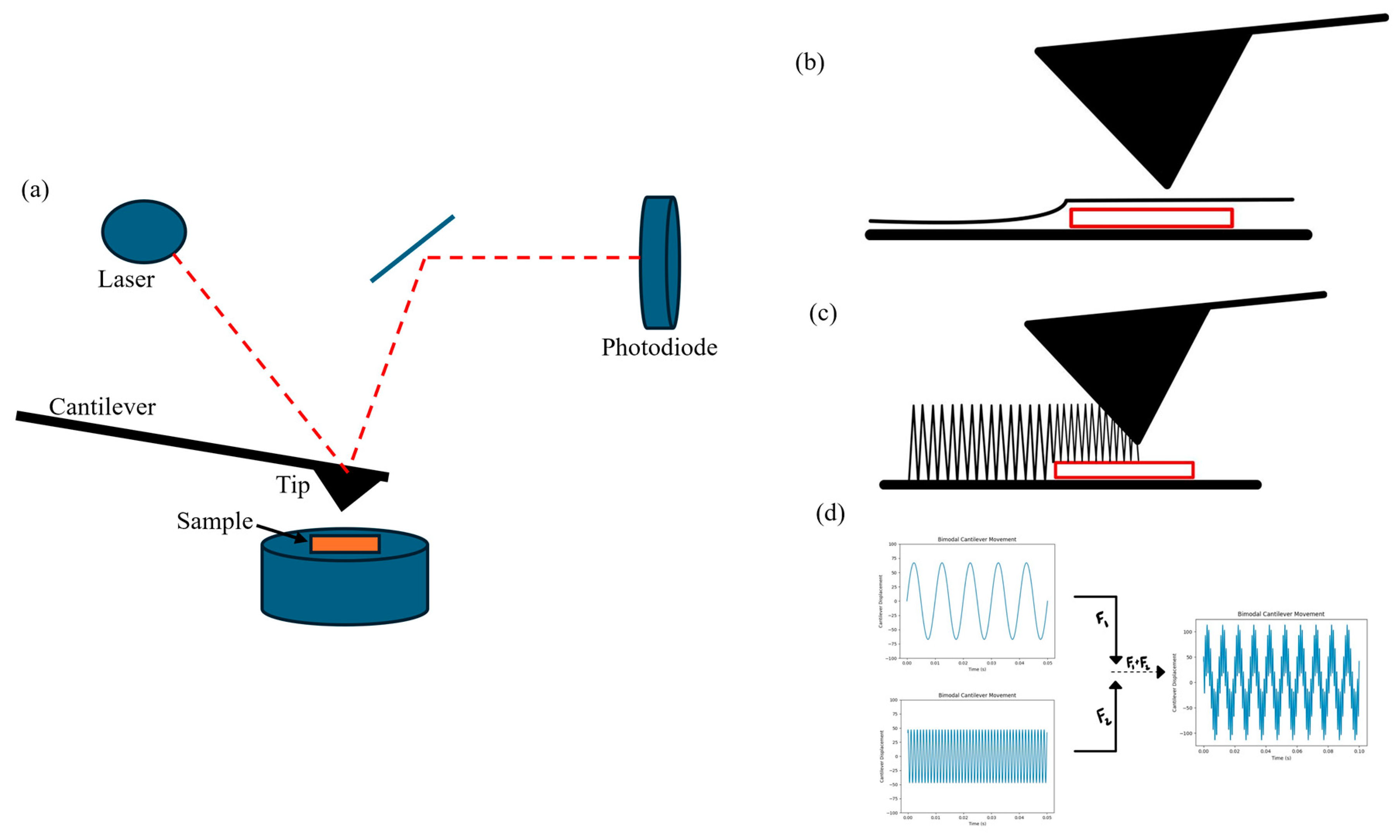 Polymers 17 00744 g005