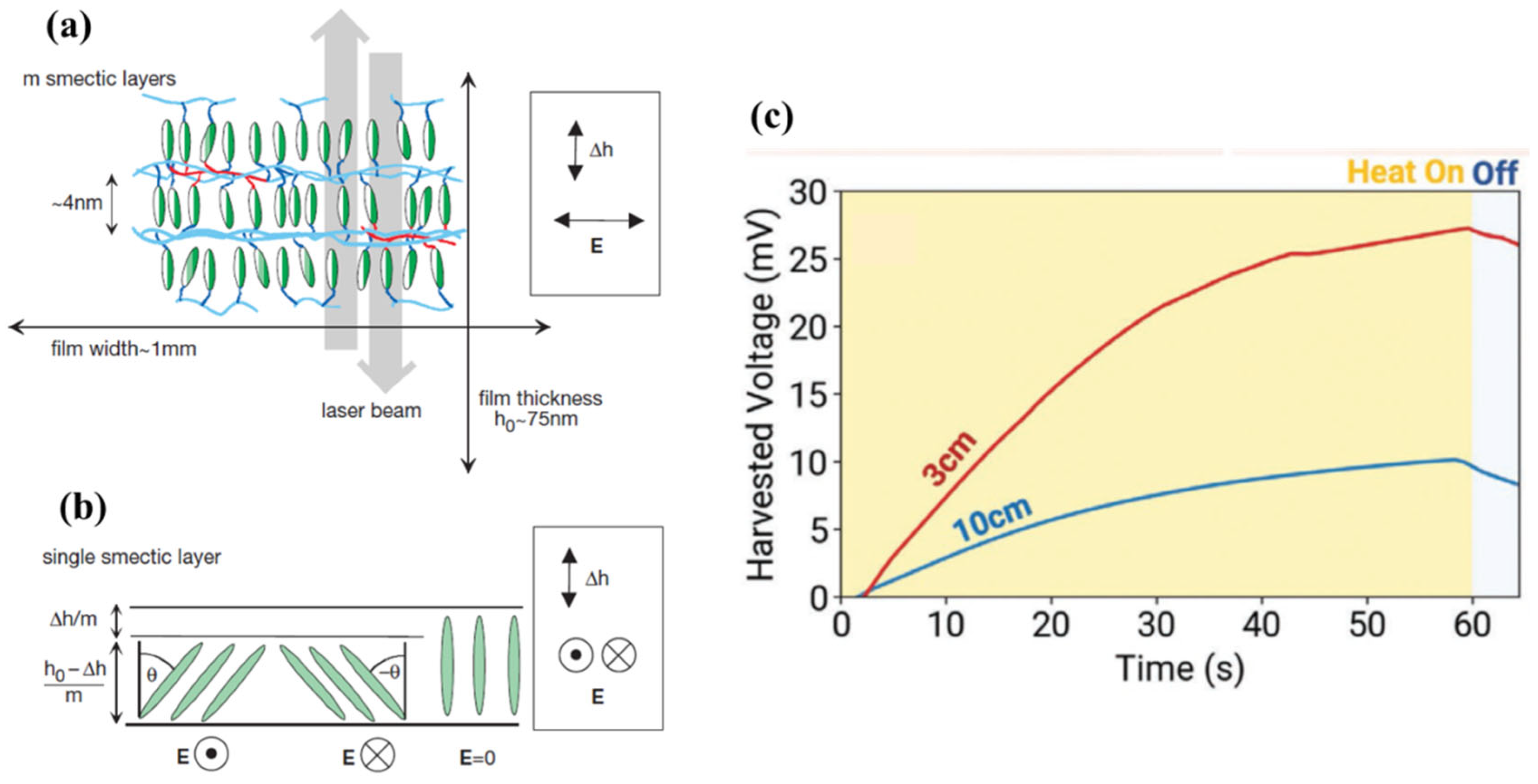 Polymers 17 00746 g004