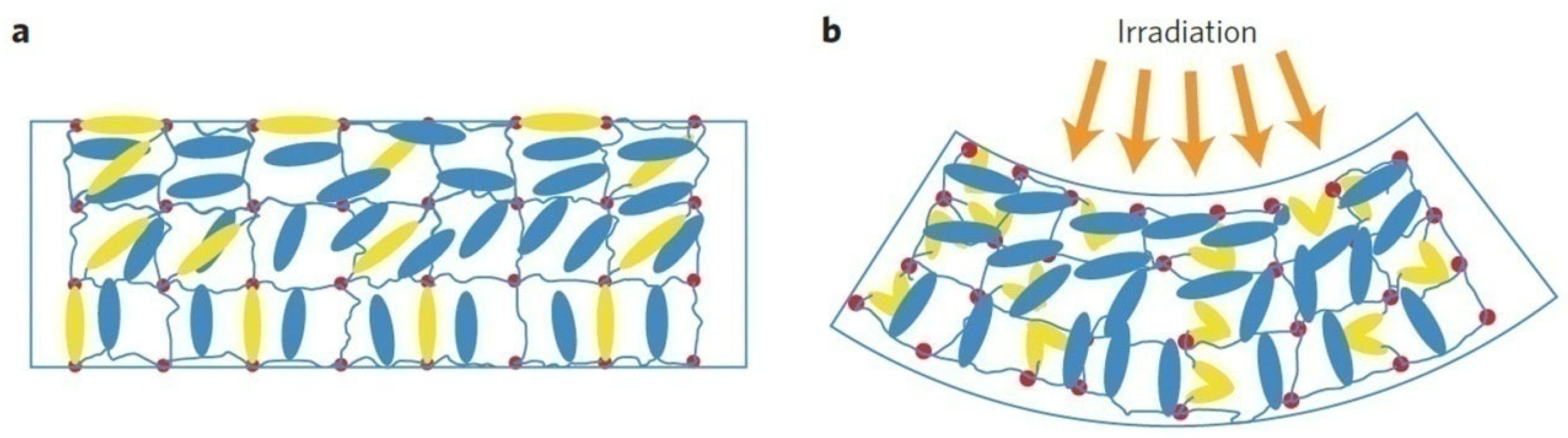 Polymers 17 00746 g005