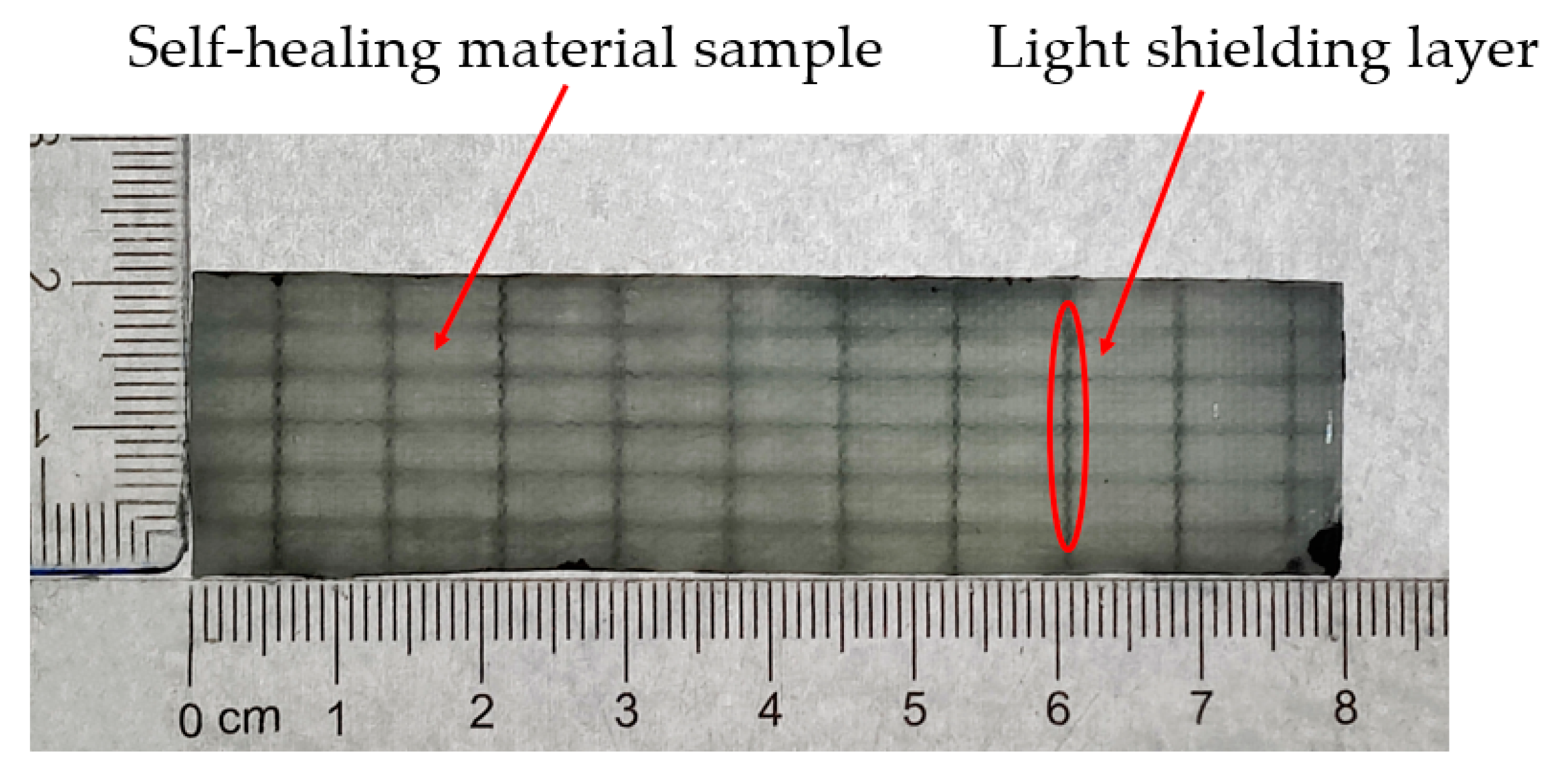 Polymers 17 00749 g006