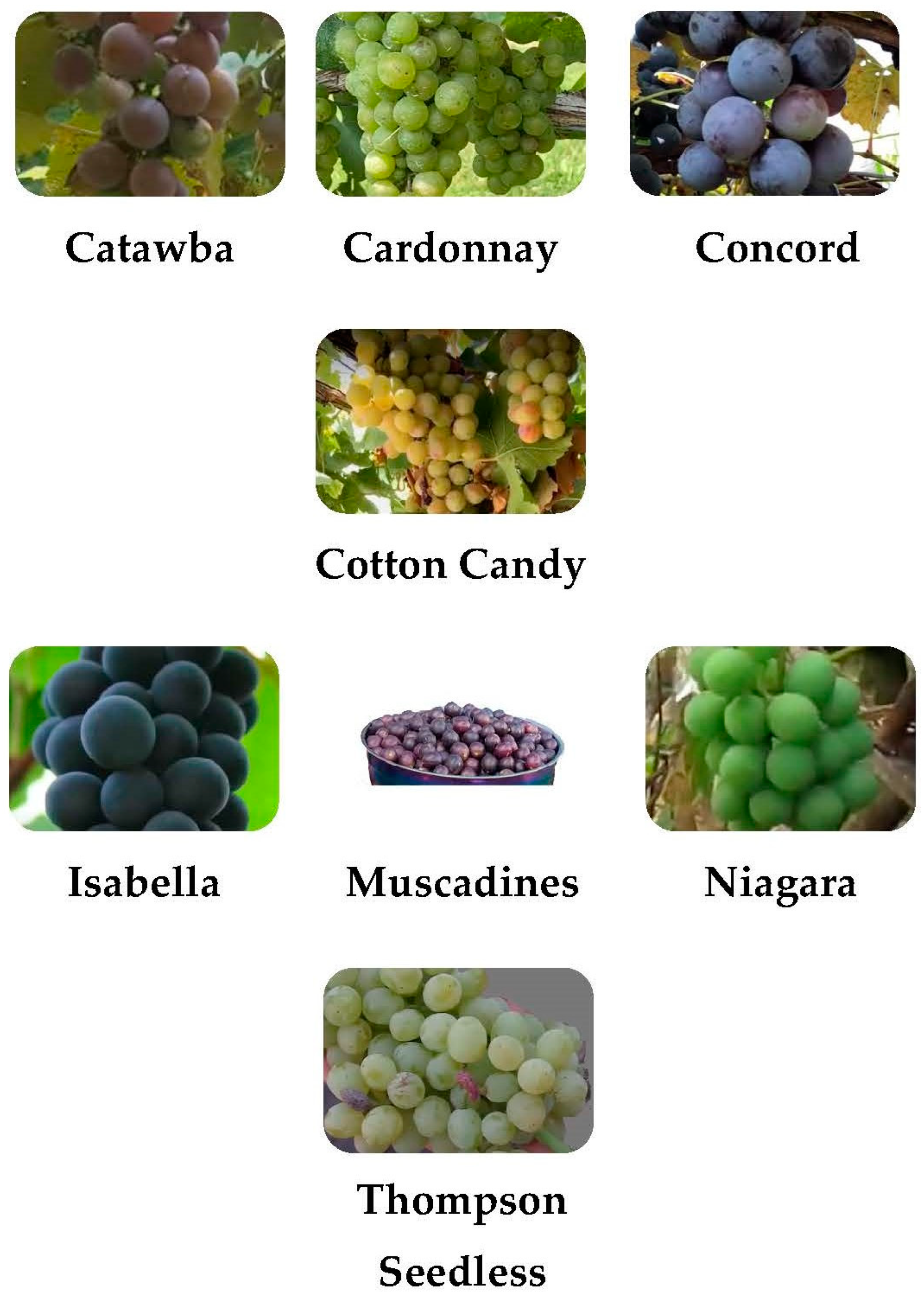Polymers 17 00750 g002
