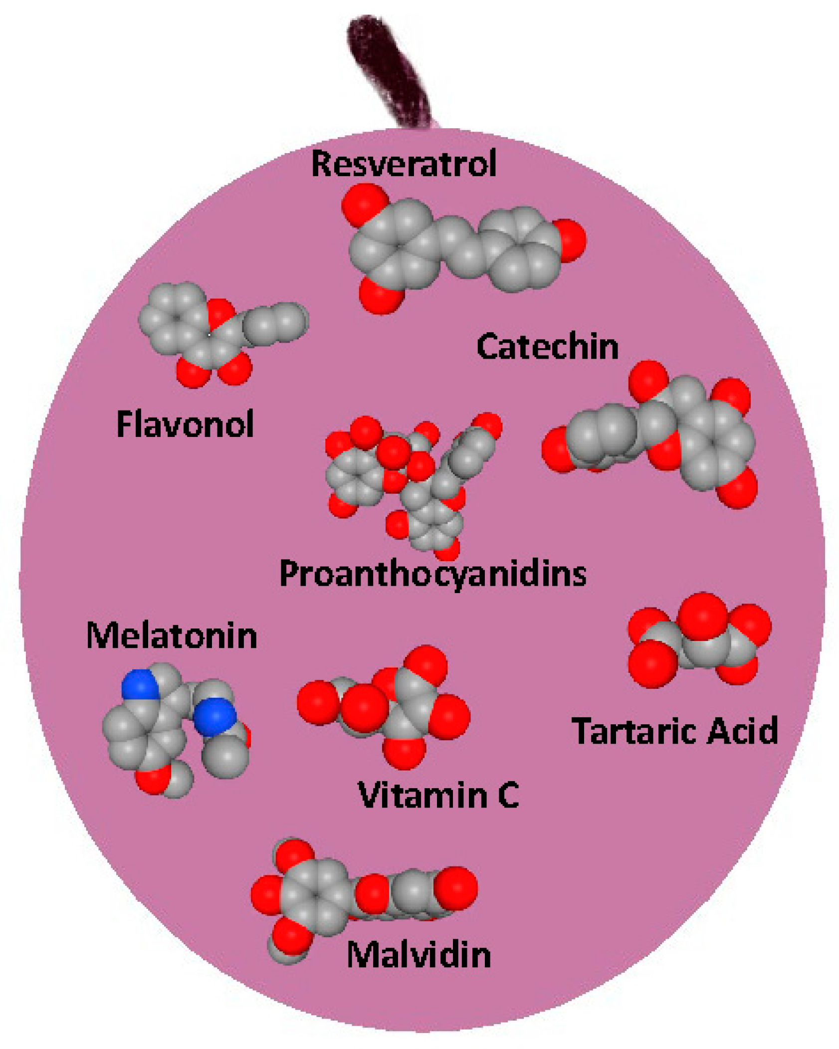 Polymers 17 00750 g003