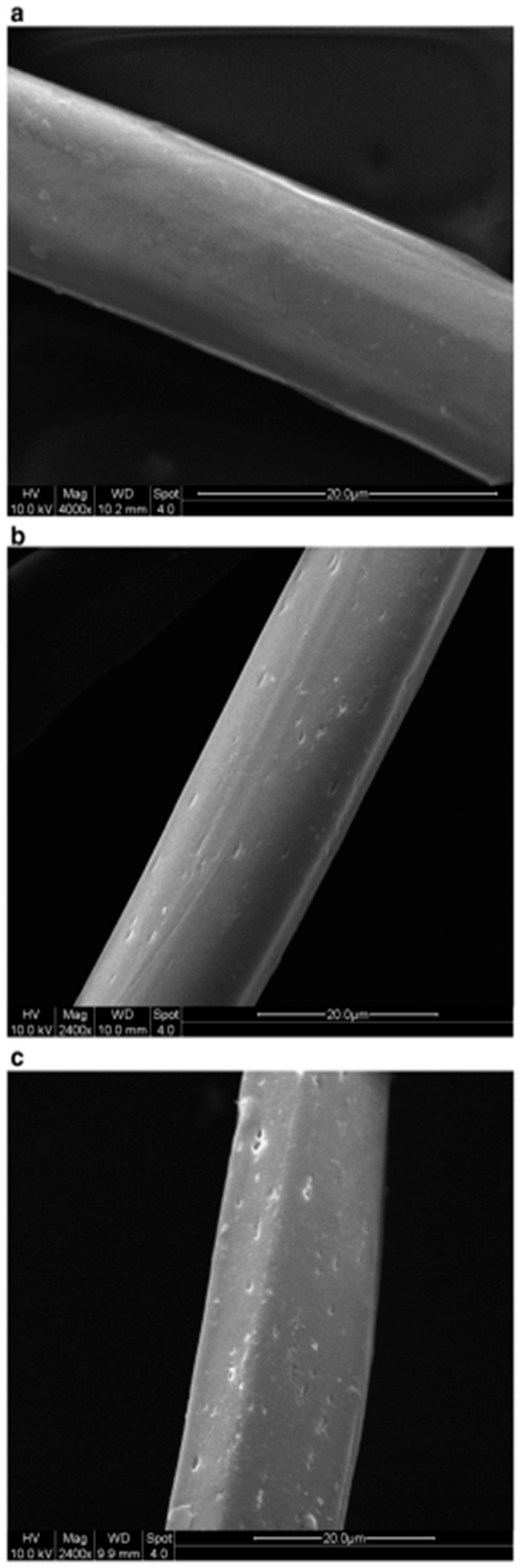 Polymers 17 00756 g010