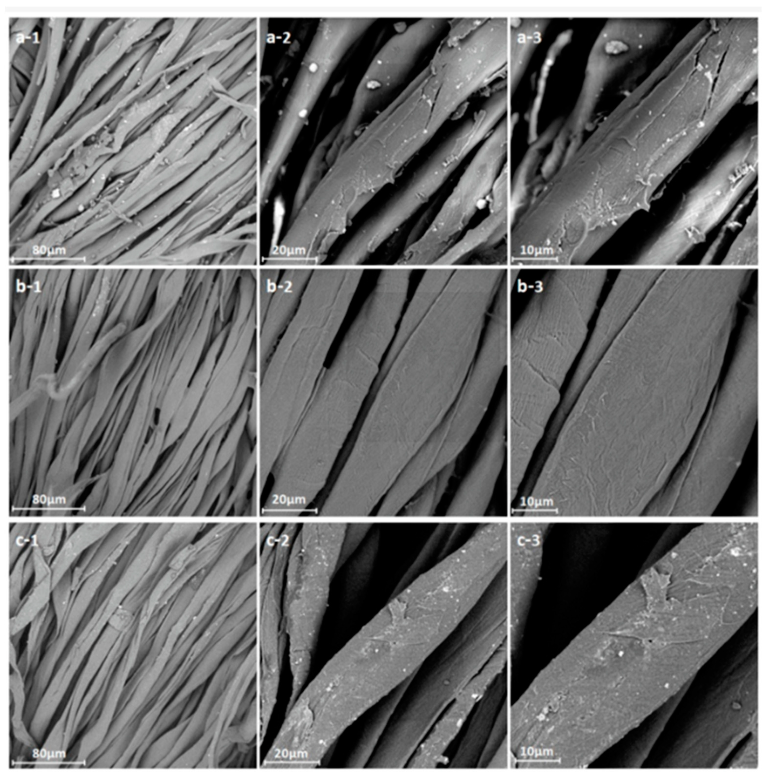 Polymers 17 00756 g015