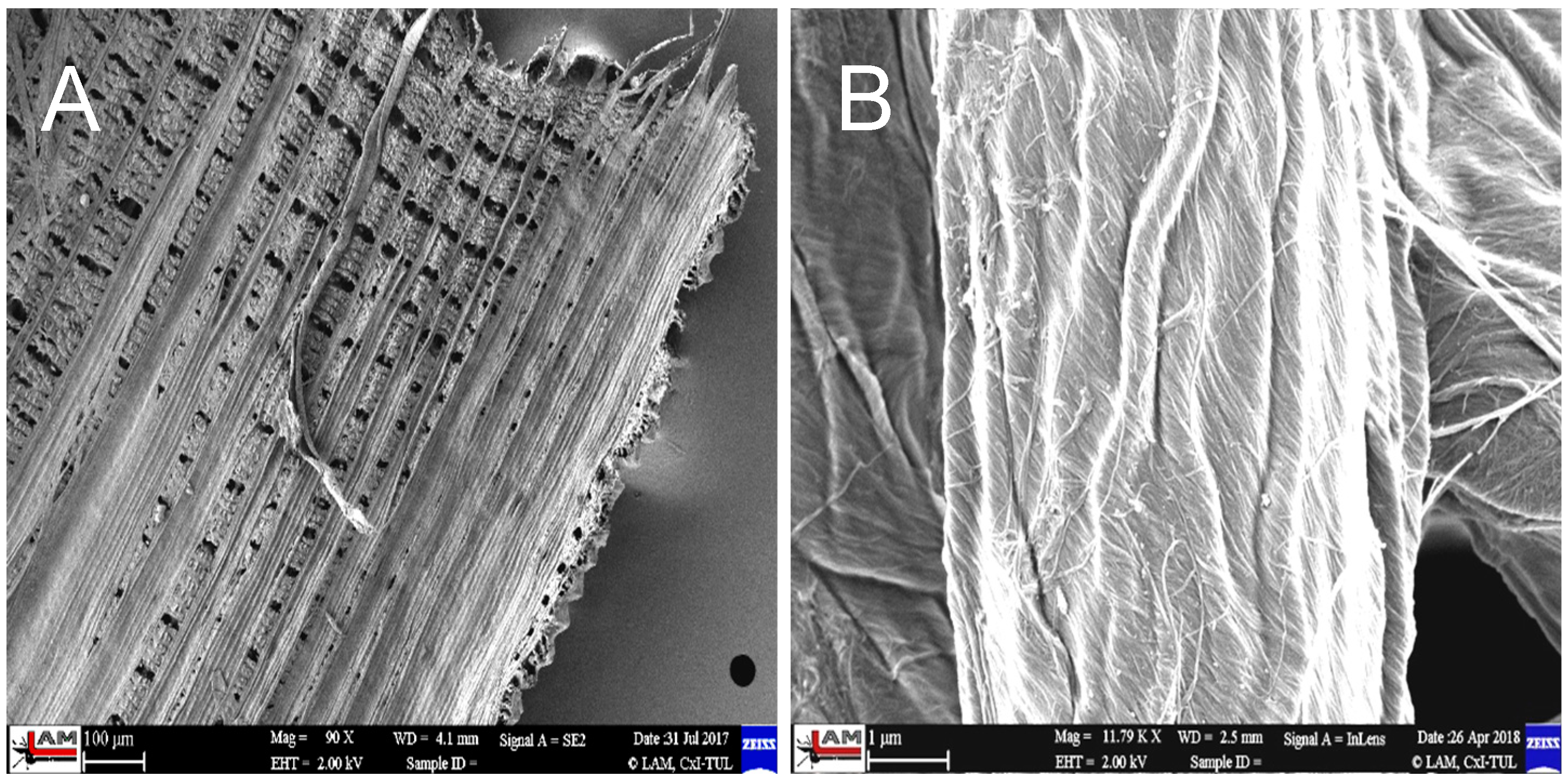 Polymers 17 00761 g006