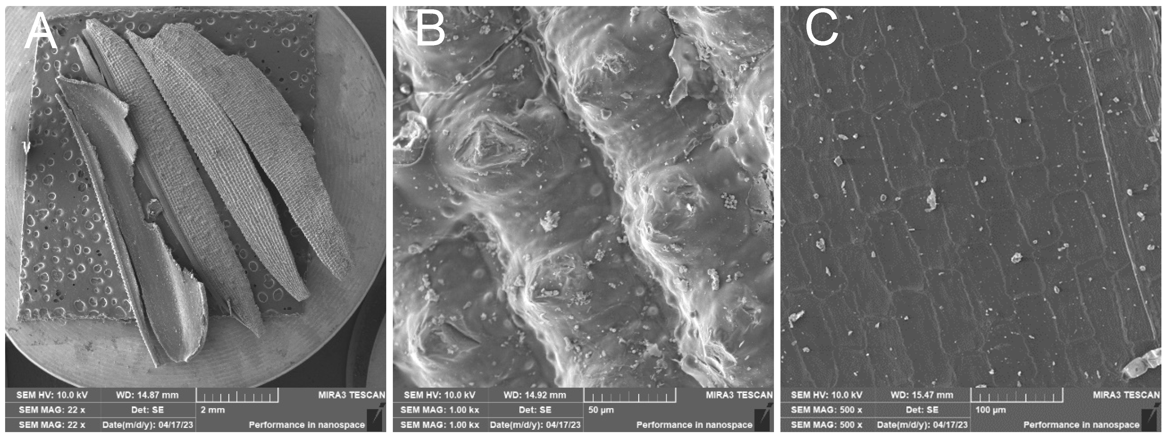 Polymers 17 00761 g009