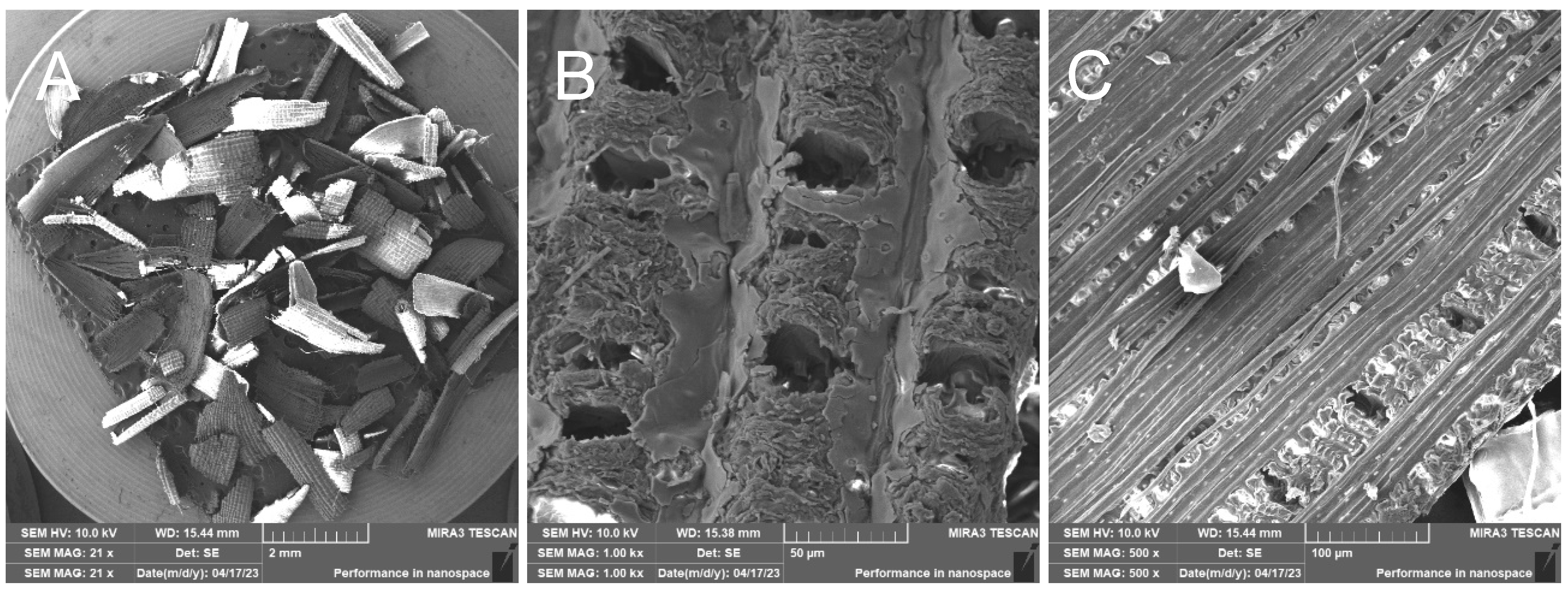 Polymers 17 00761 g011