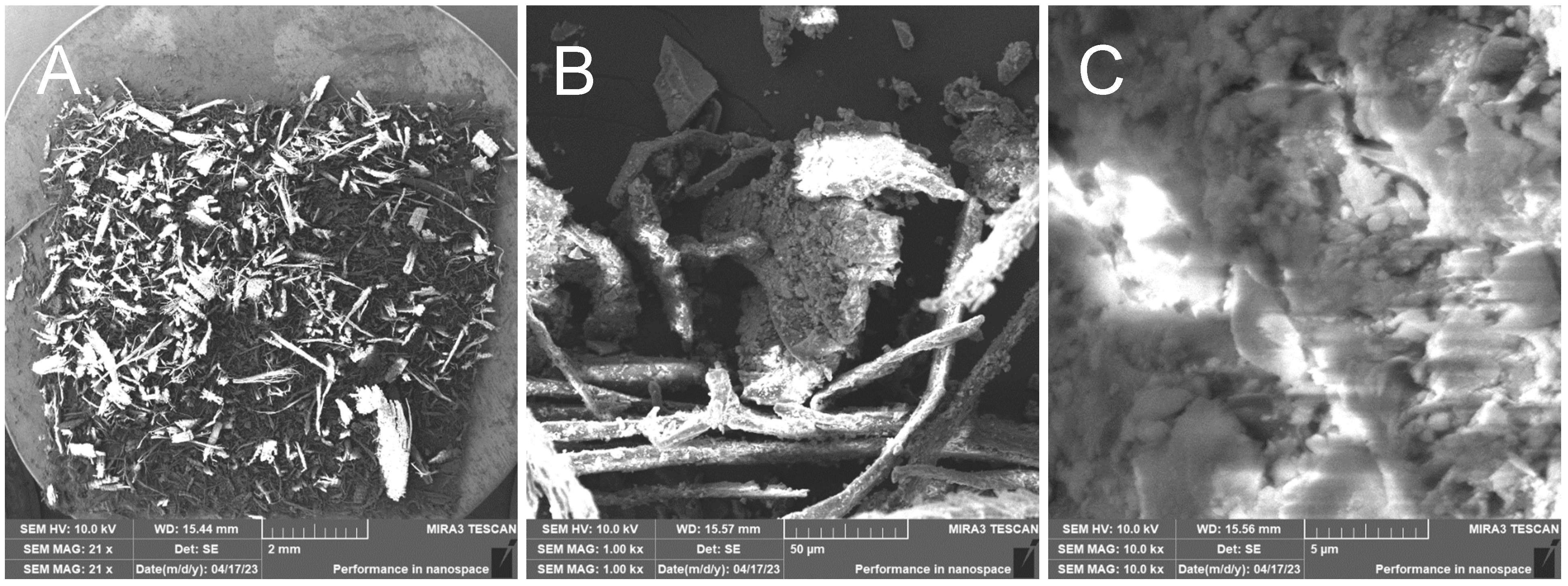 Polymers 17 00761 g013