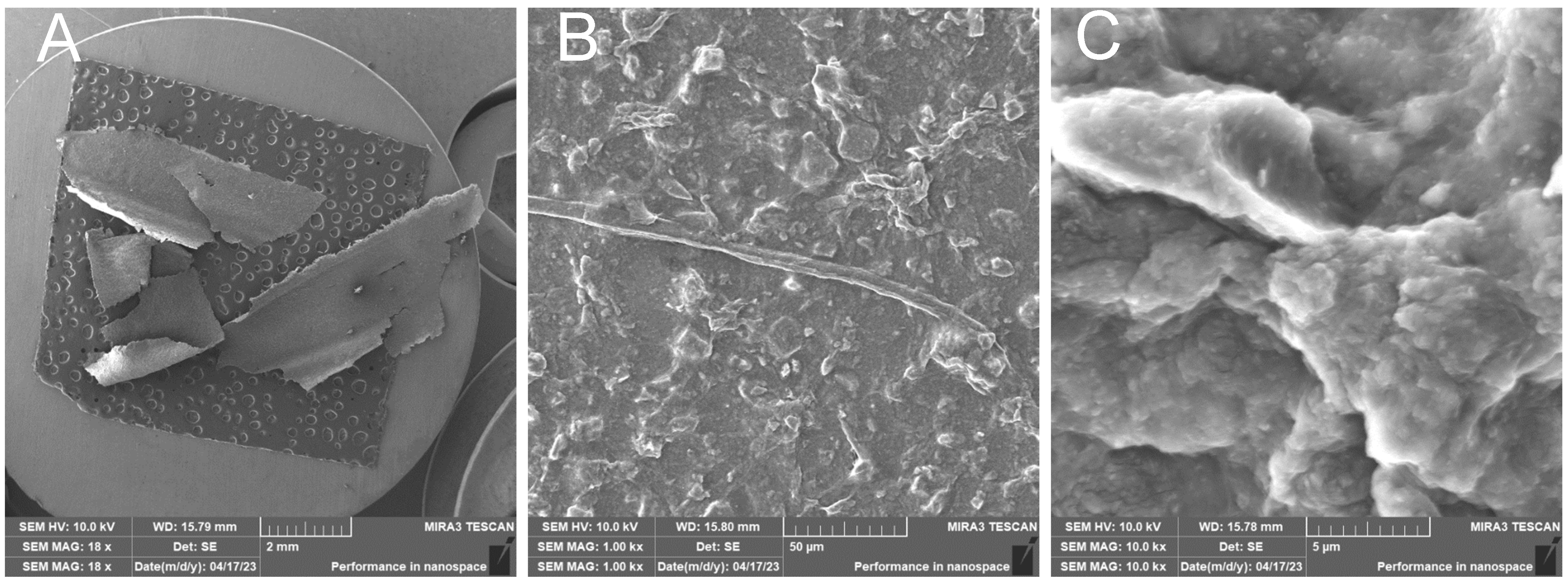 Polymers 17 00761 g017