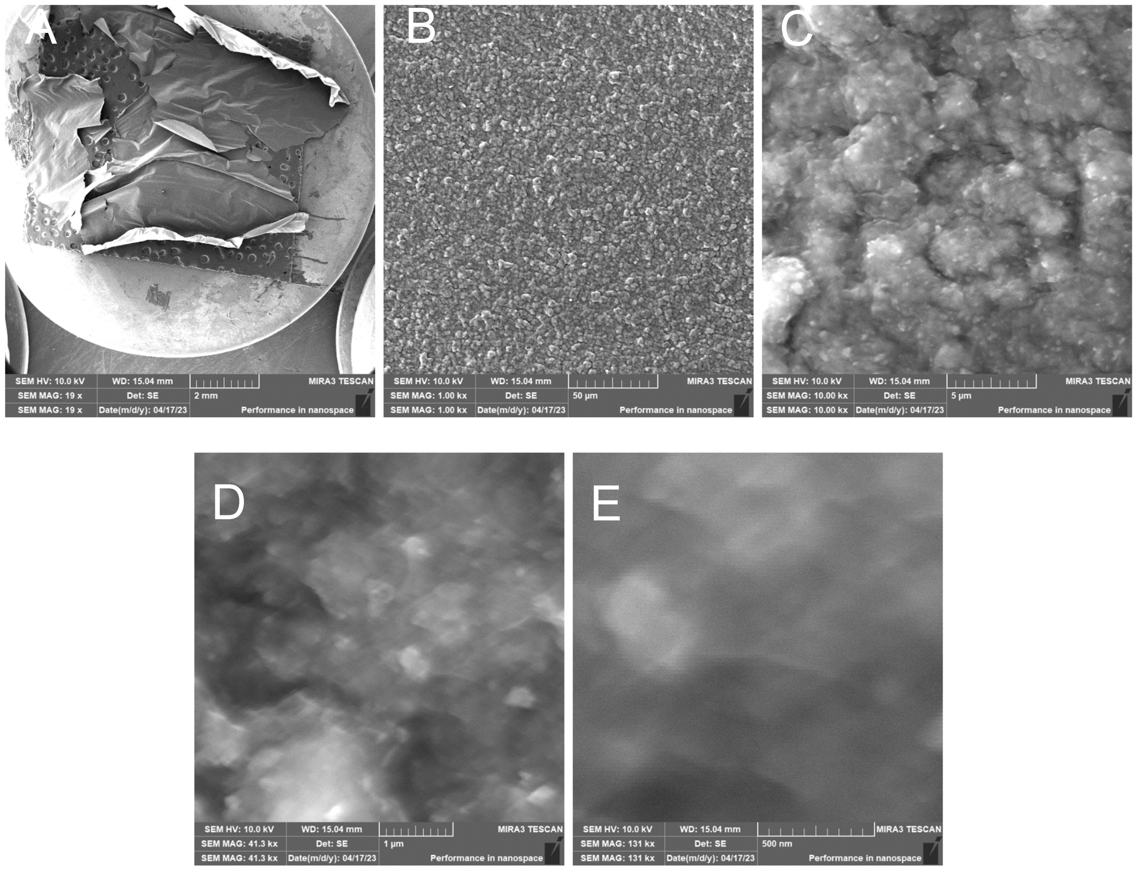 Polymers 17 00761 g019