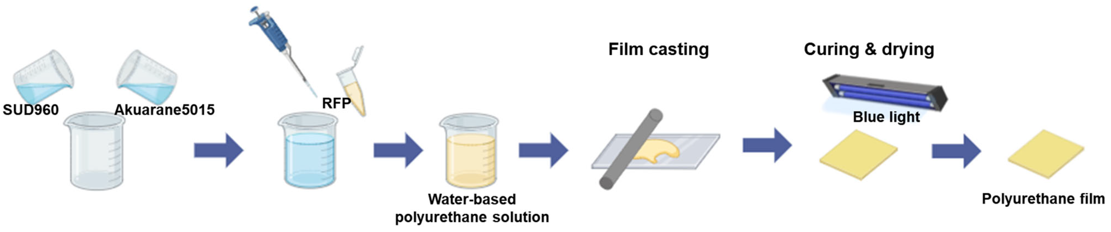 Polymers 17 00766 g001