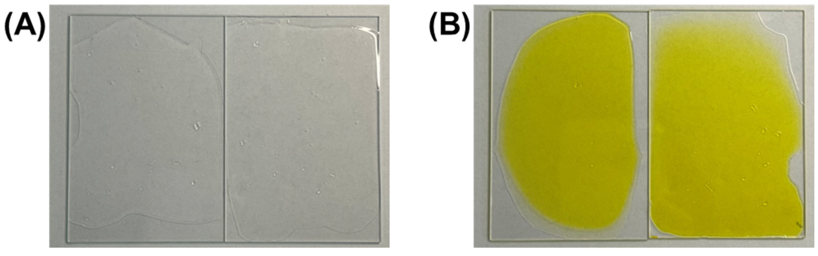 Polymers 17 00766 g002