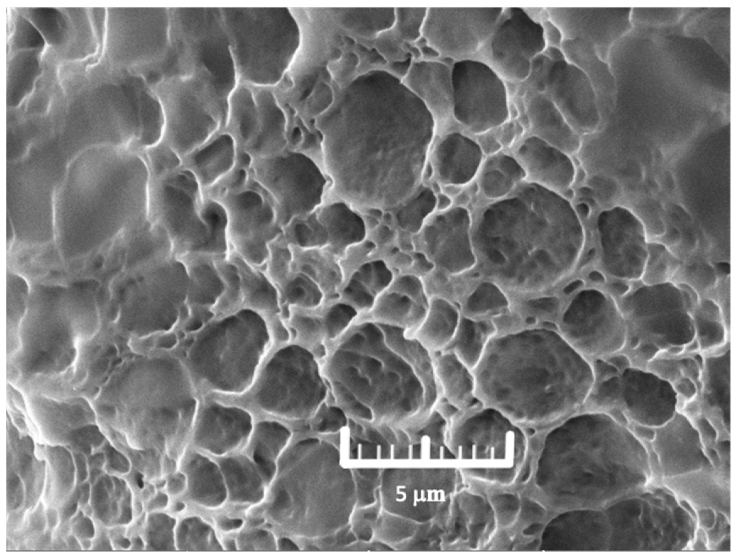 Polymers 17 00770 g002