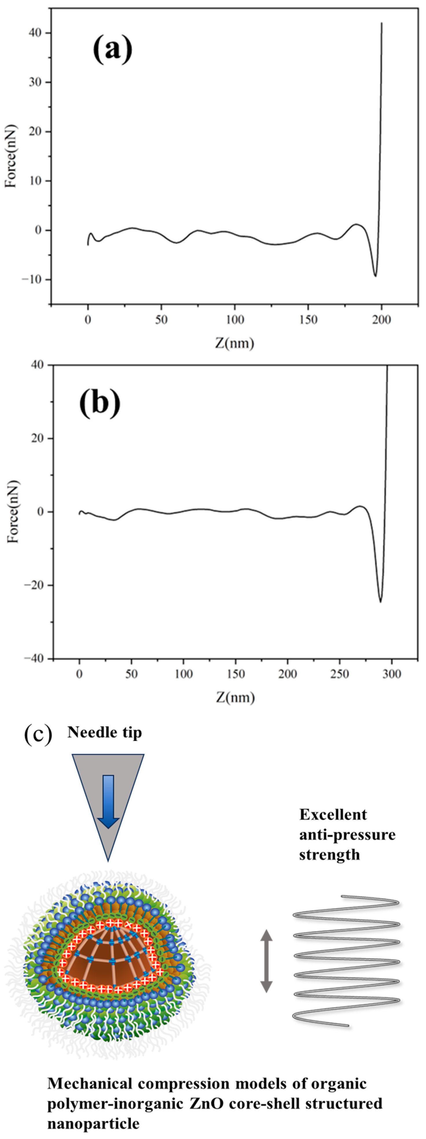 Polymers 17 00773 g008