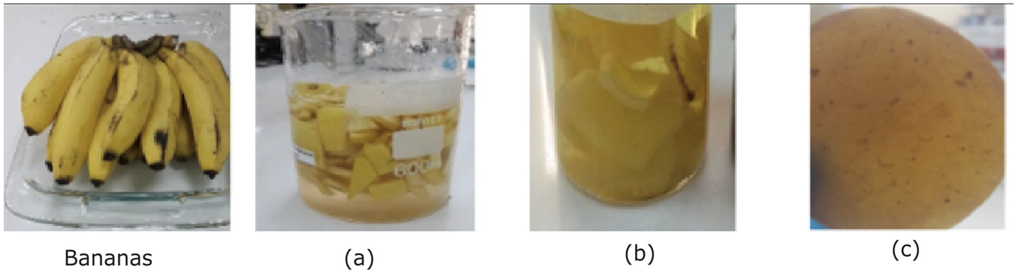 Polymers 17 00775 g001
