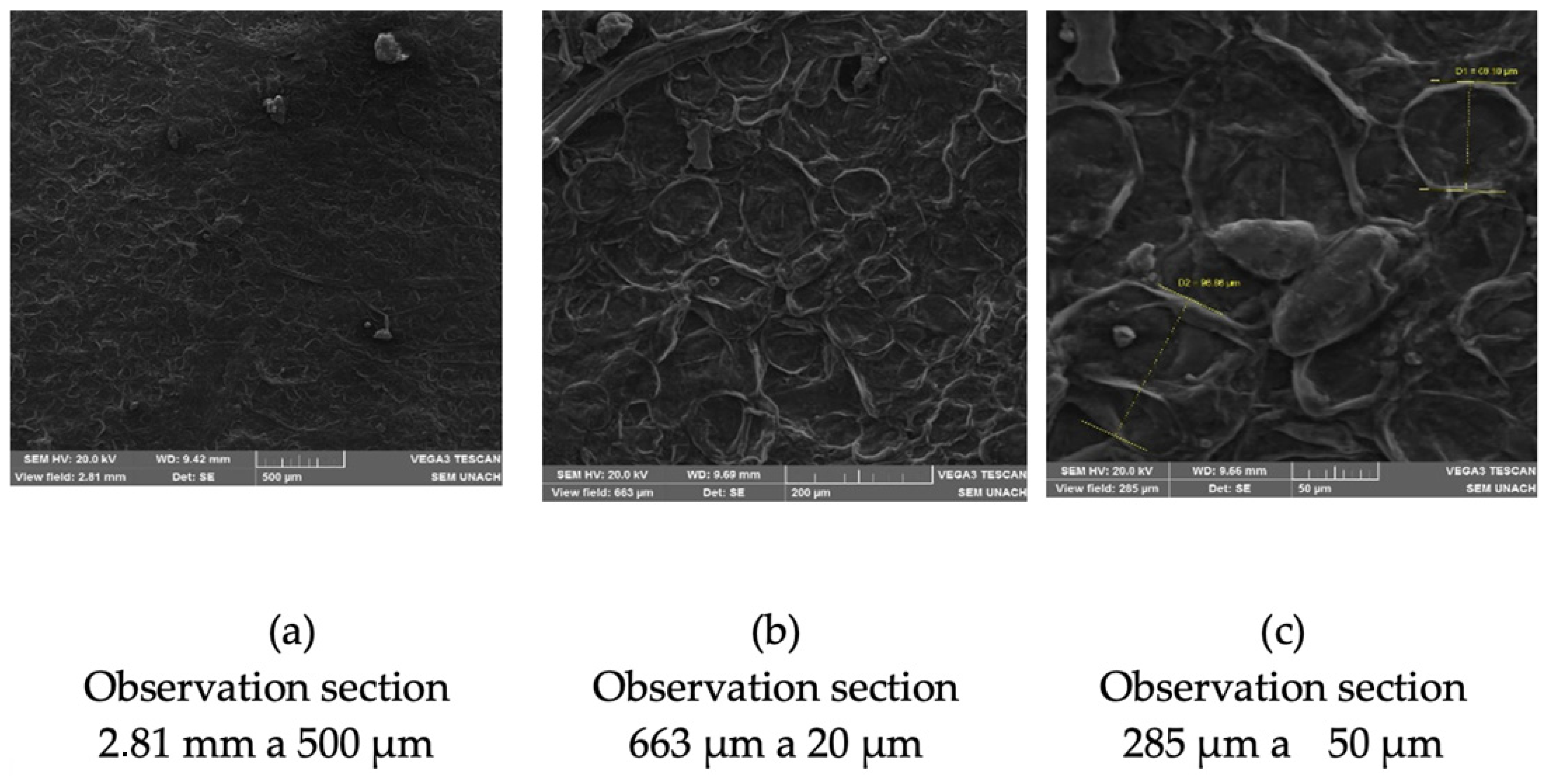 Polymers 17 00775 g004