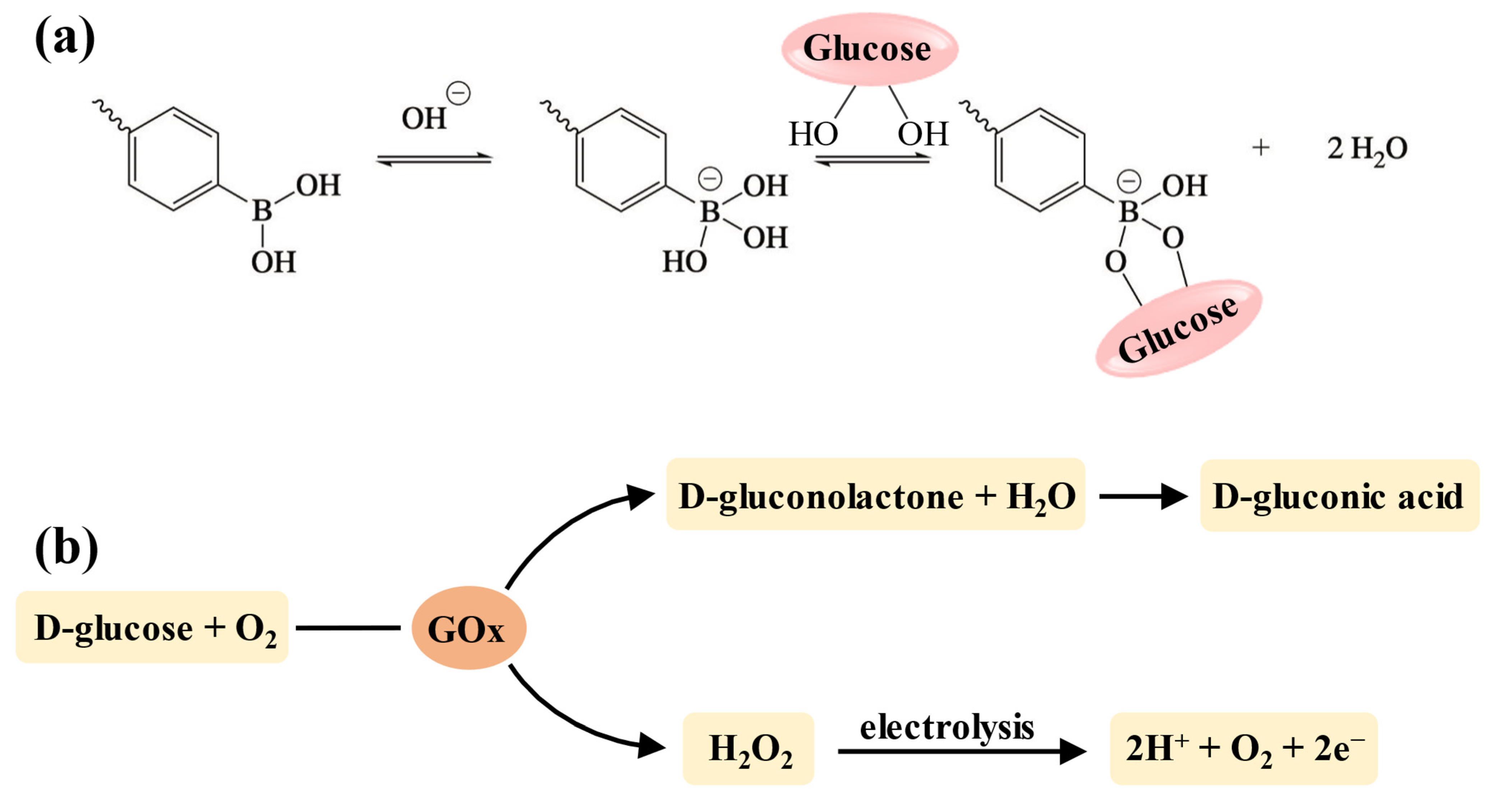 Polymers 17 00780 g005