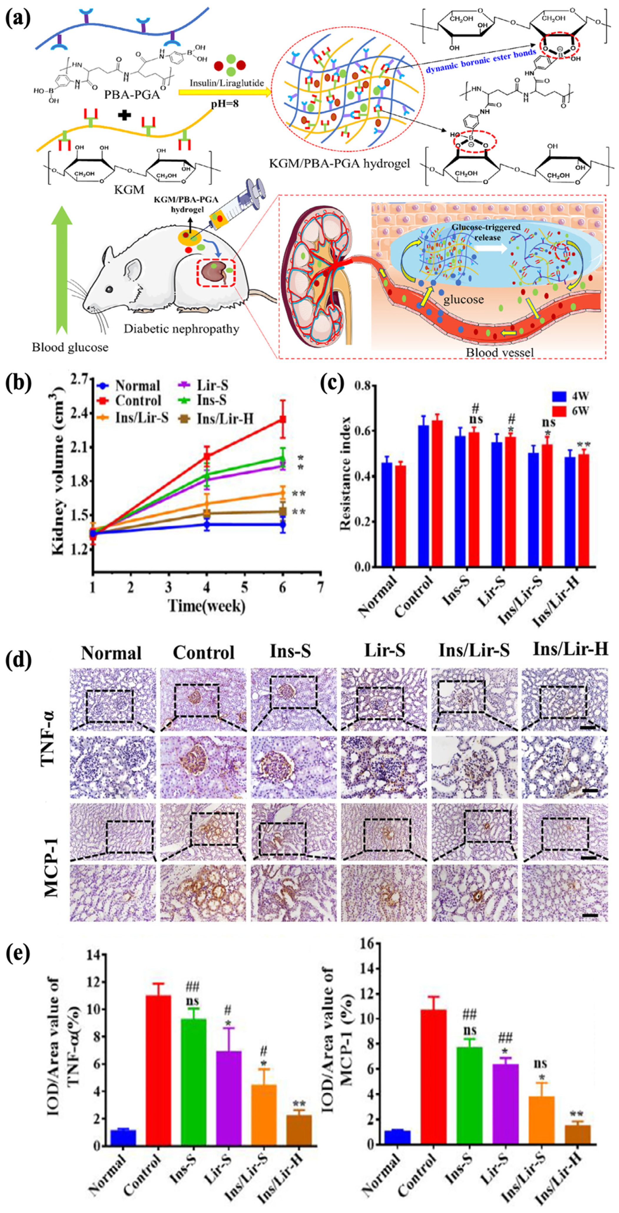 Polymers 17 00780 g010