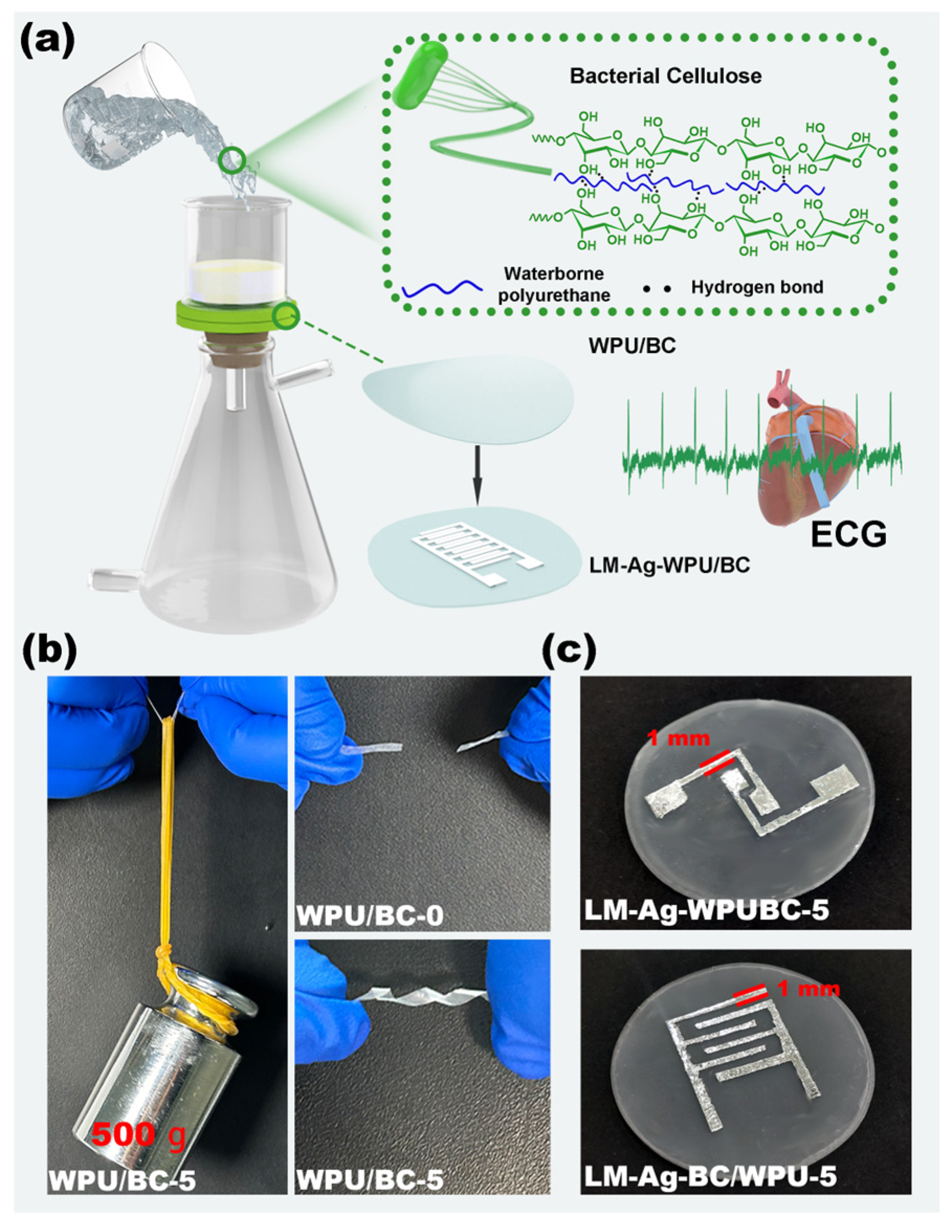 Polymers 17 00787 g001