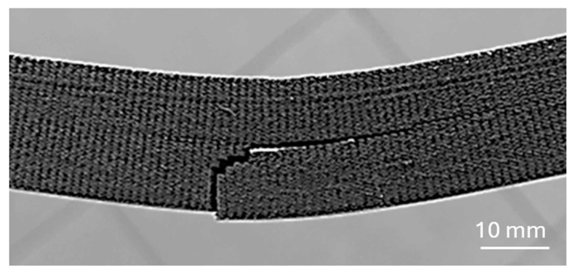 Polymers 17 00788 g014